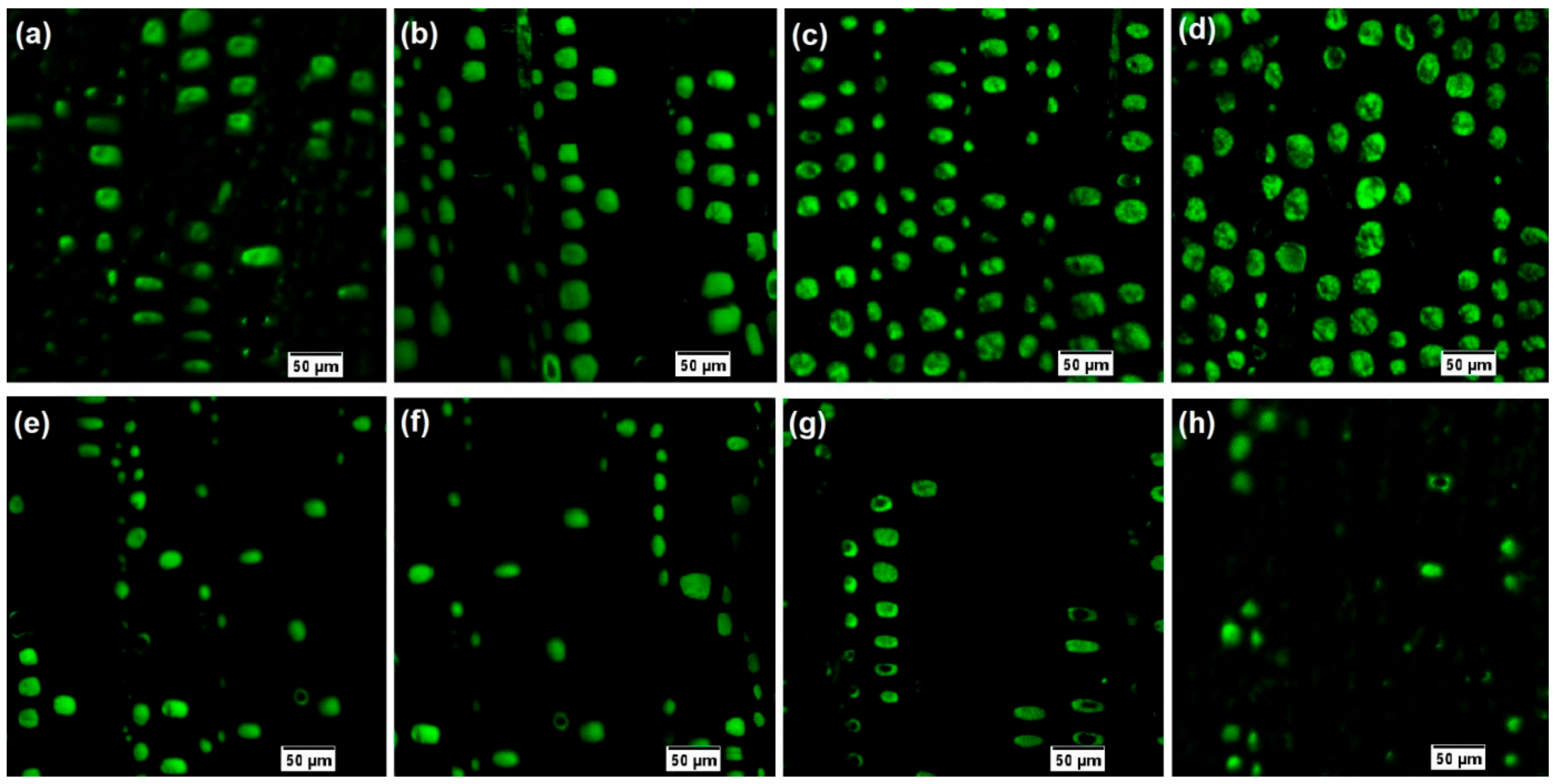 Nanomaterials 09 01409 g004 Nanomaterials 09 01409 g004