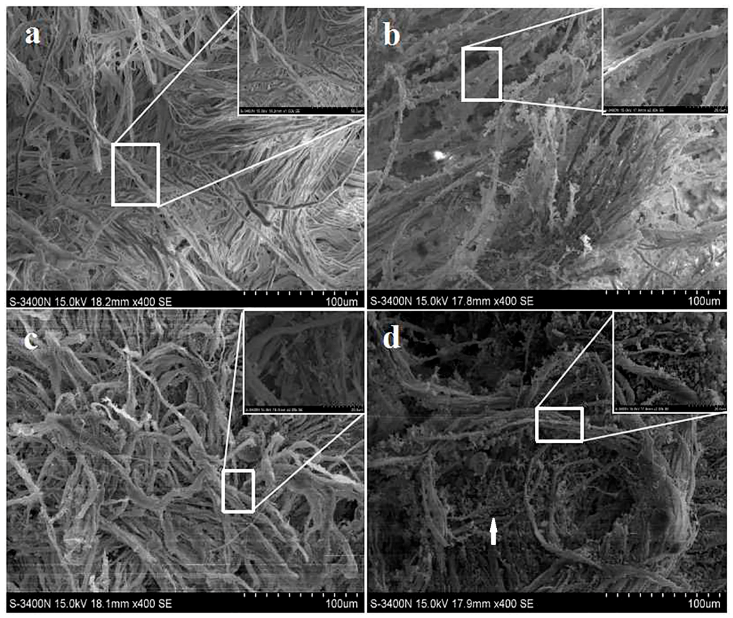 Nanomaterials 09 01411 g004 Nanomaterials 09 01411 g004