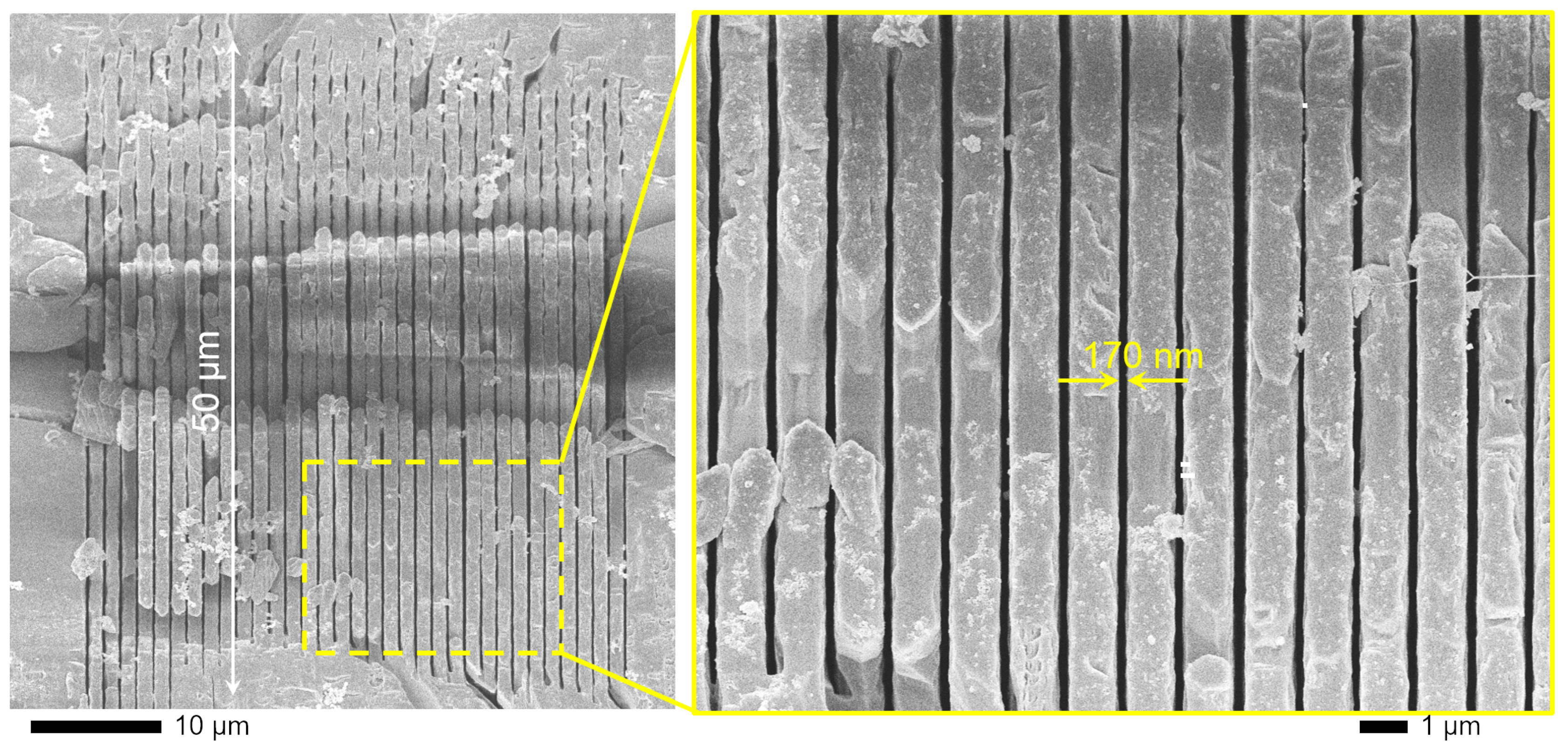 Nanomaterials 09 01414 g002