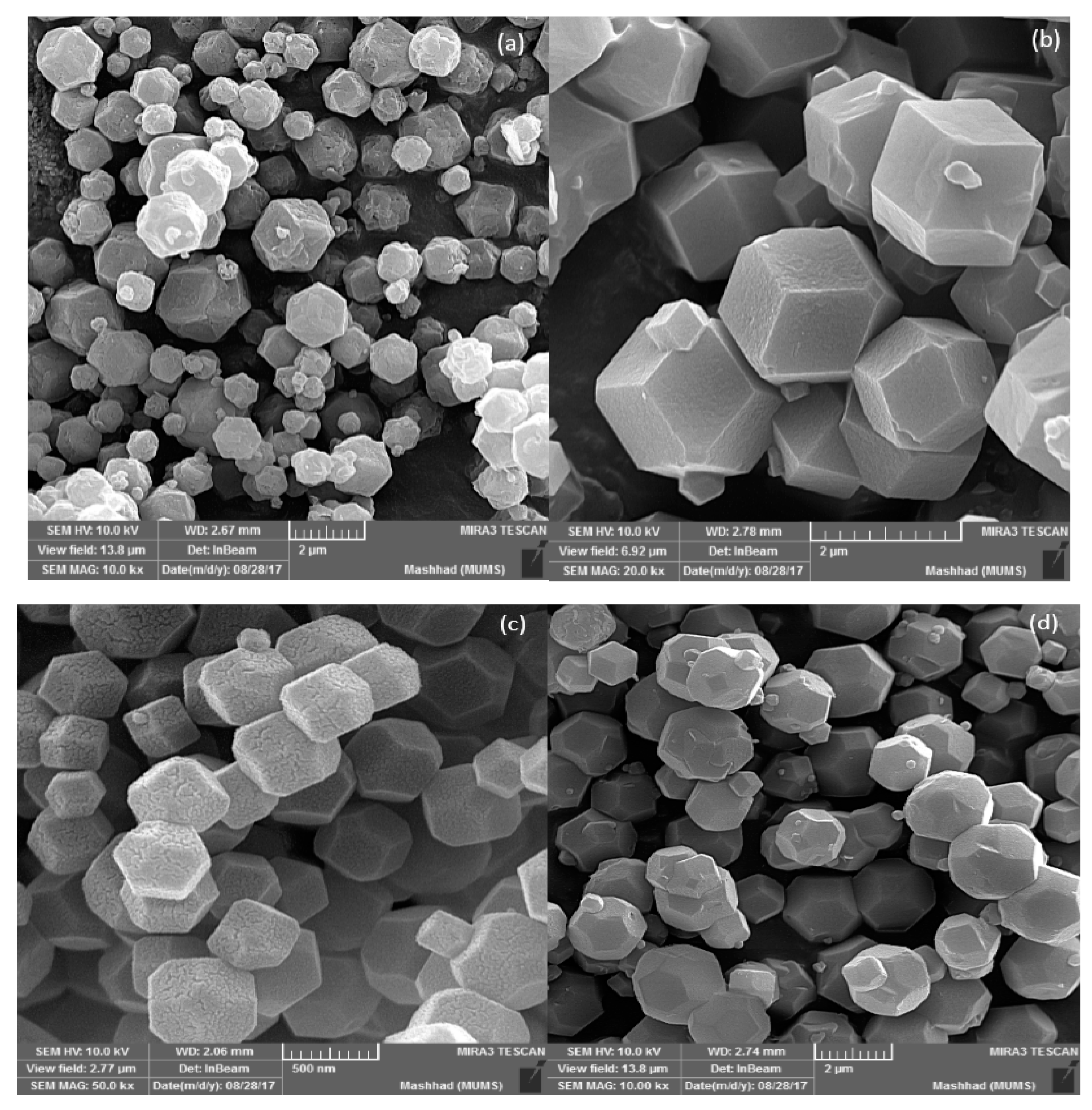Nanomaterials 09 01422 g001a