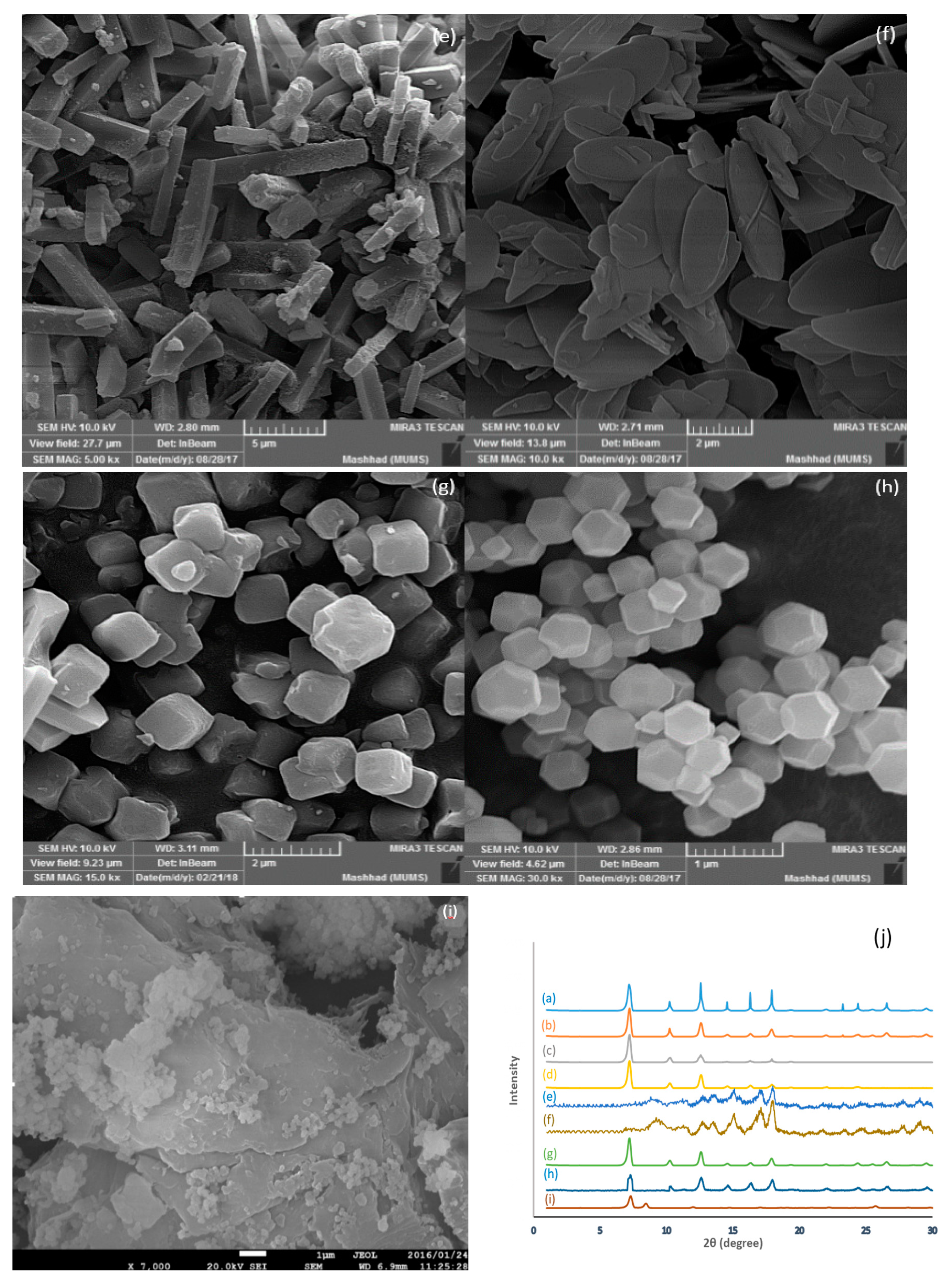 Nanomaterials 09 01422 g001b
