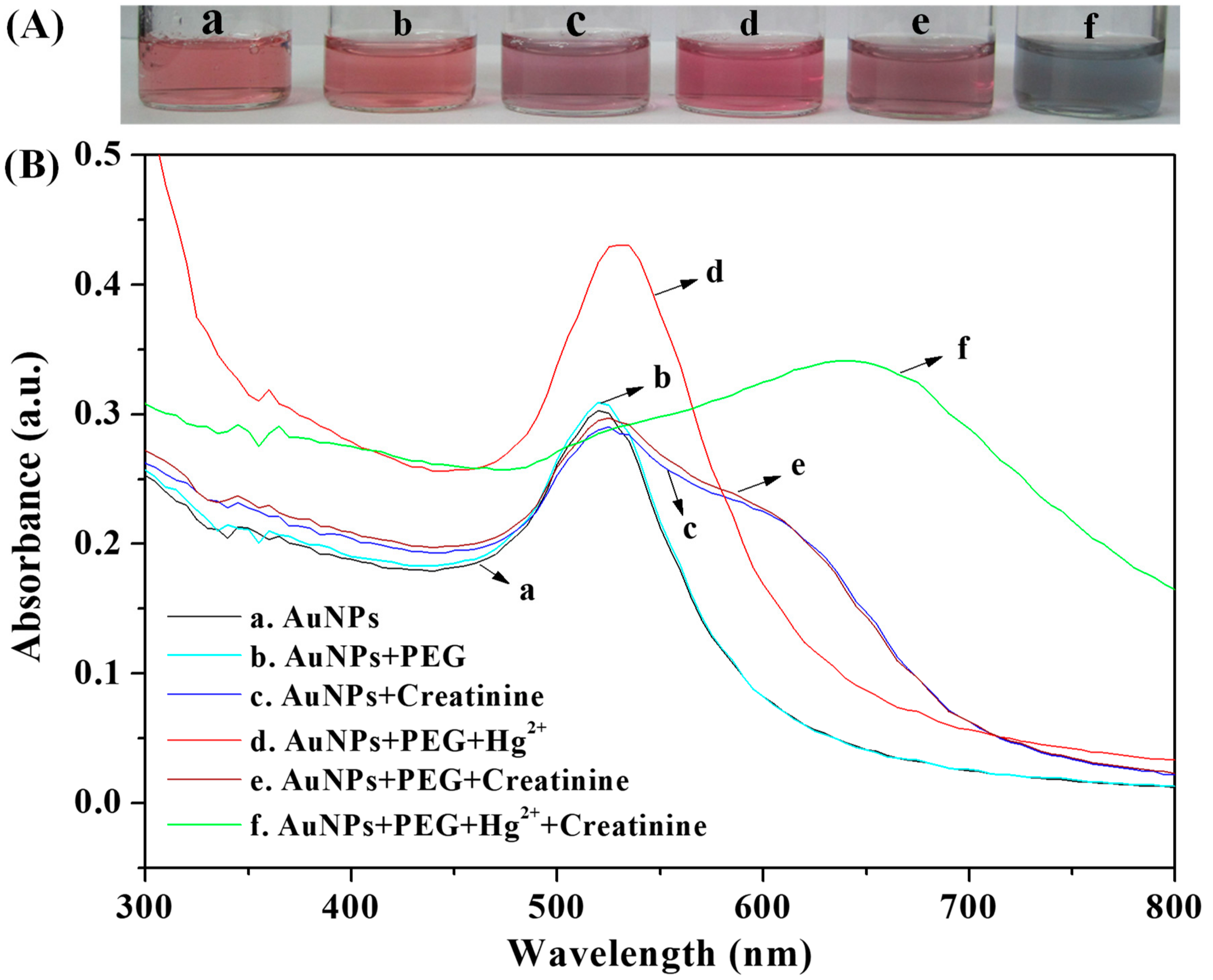 Nanomaterials 09 01424 g001