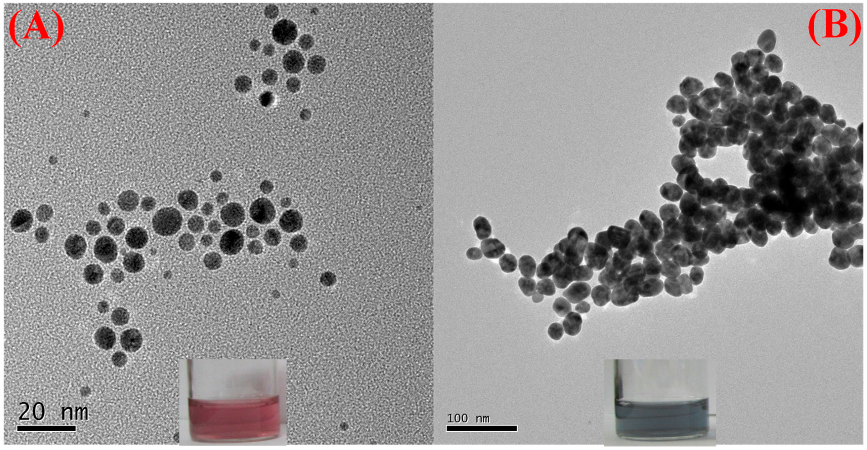 Nanomaterials 09 01424 g002