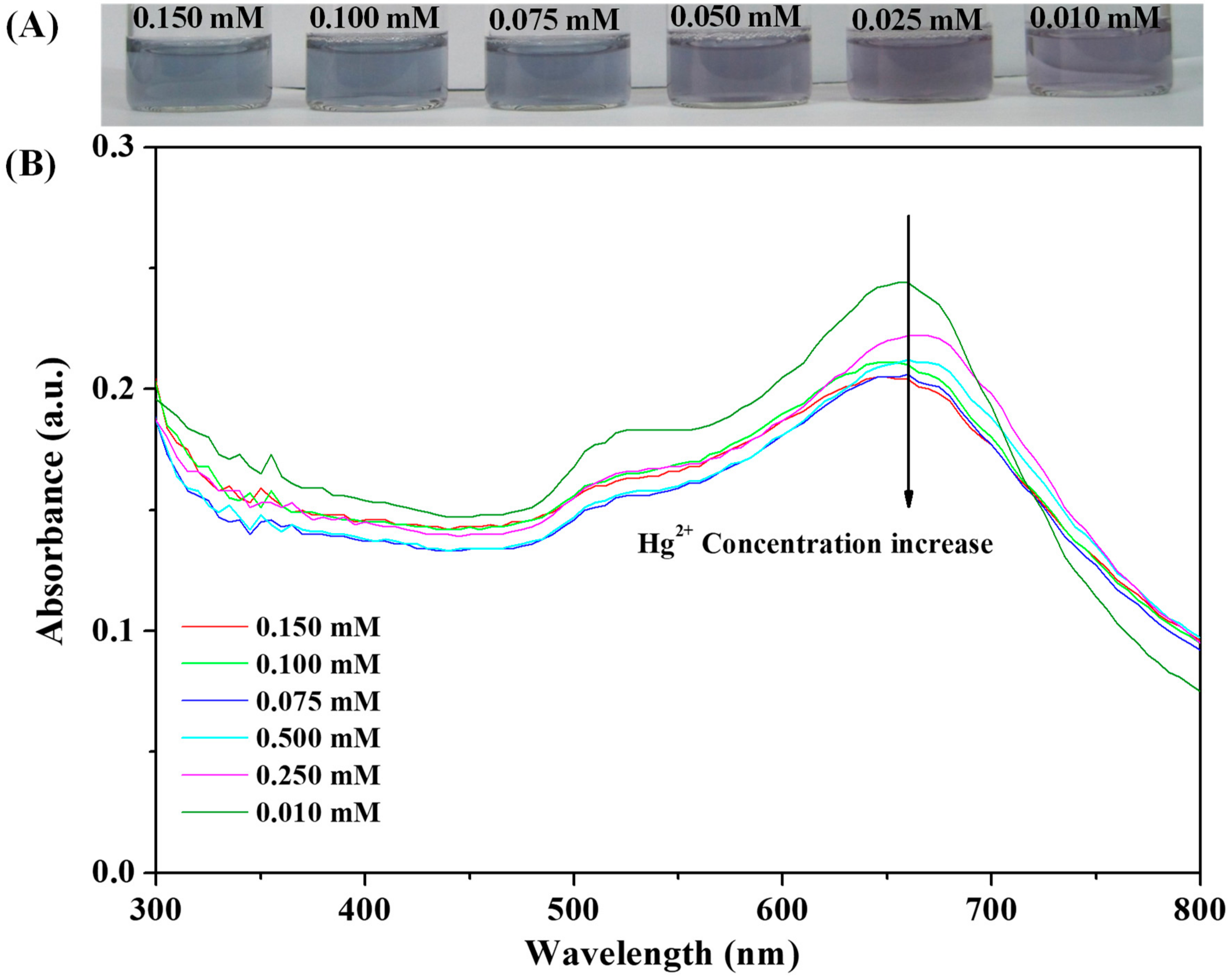 Nanomaterials 09 01424 g005
