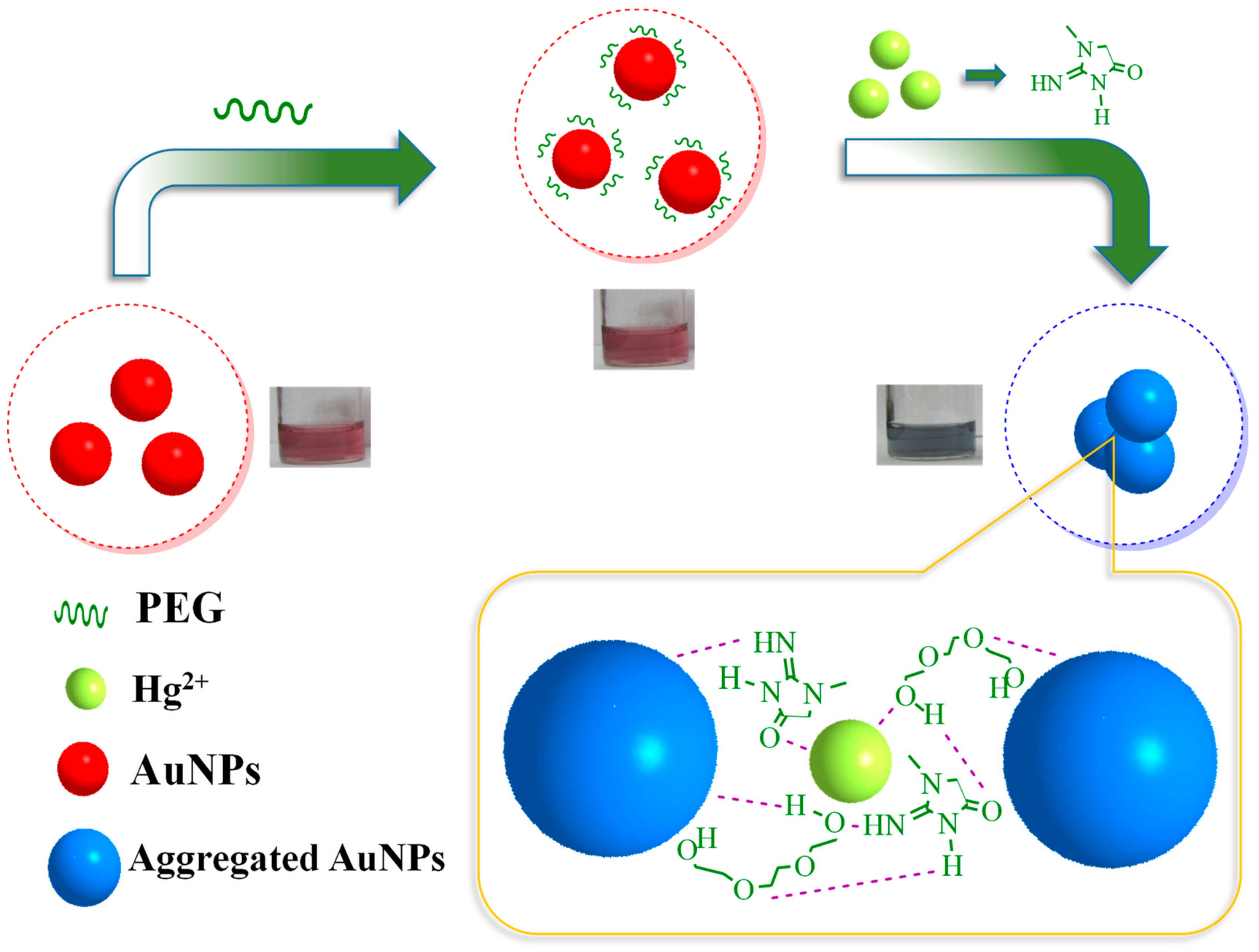 Nanomaterials 09 01424 sch001