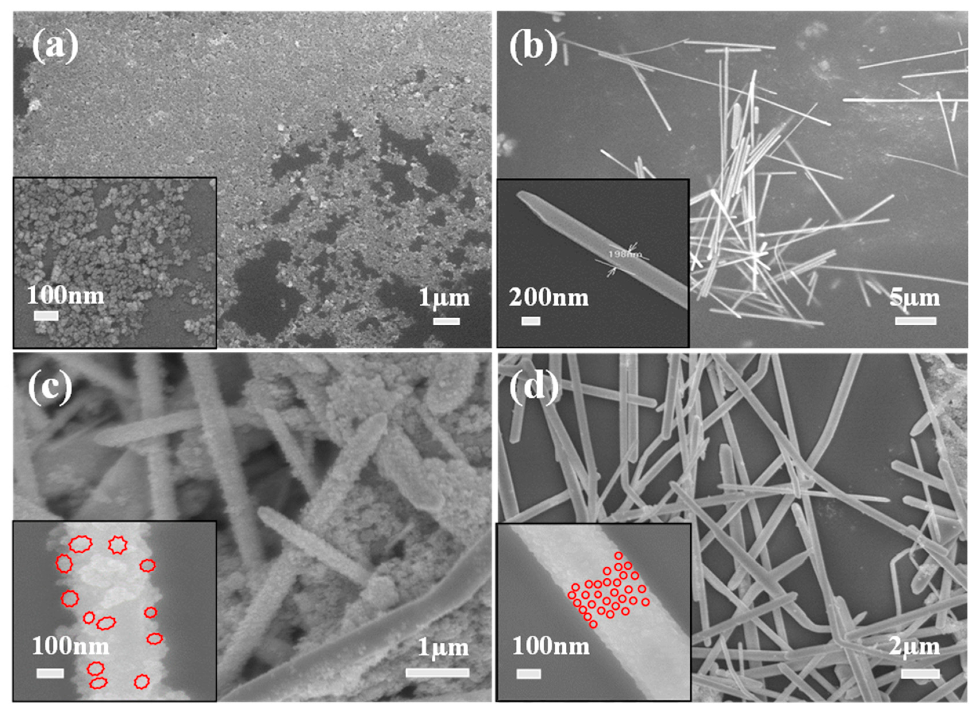 Nanomaterials 09 01431 g002