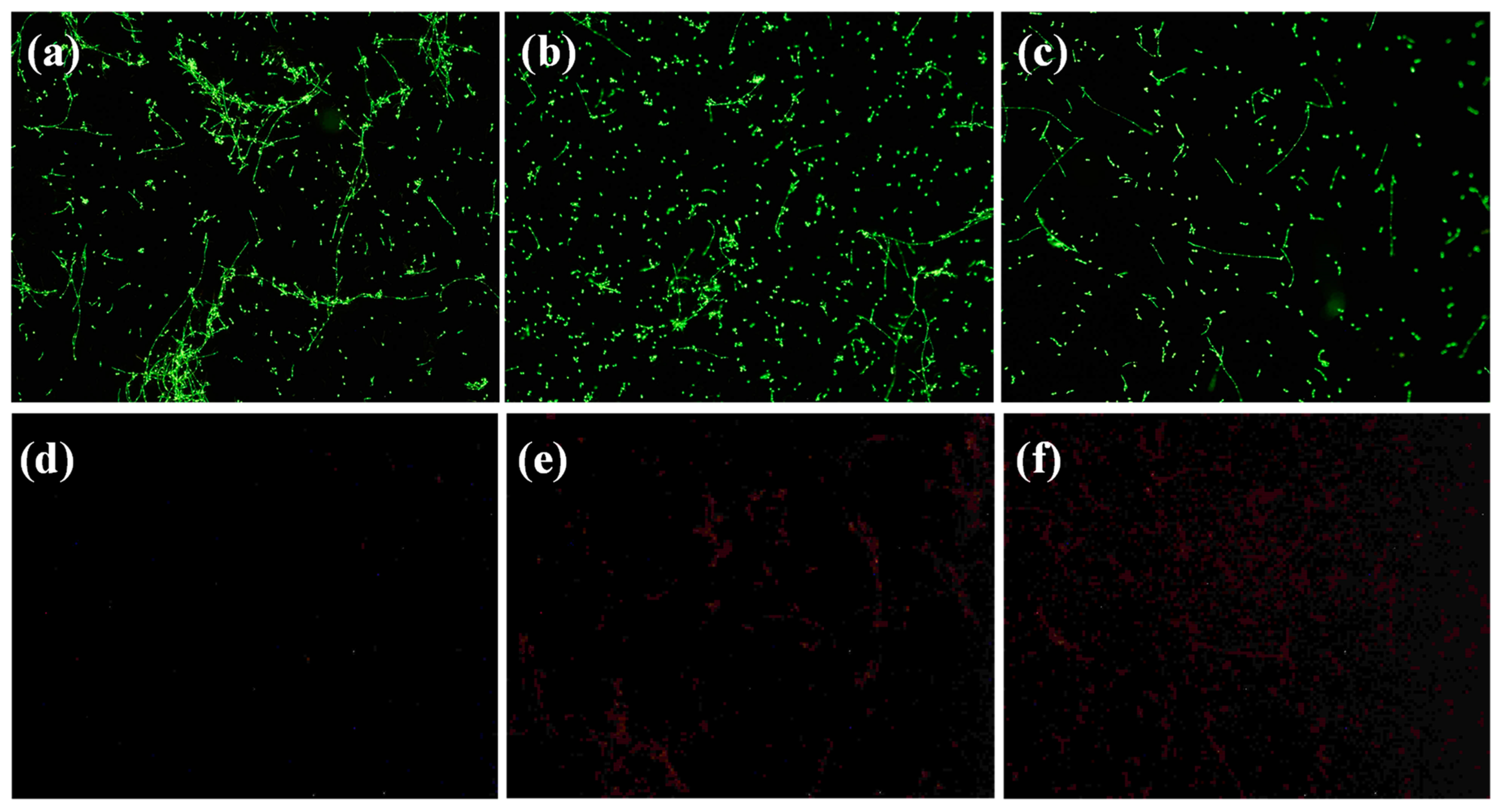 Nanomaterials 09 01431 g008