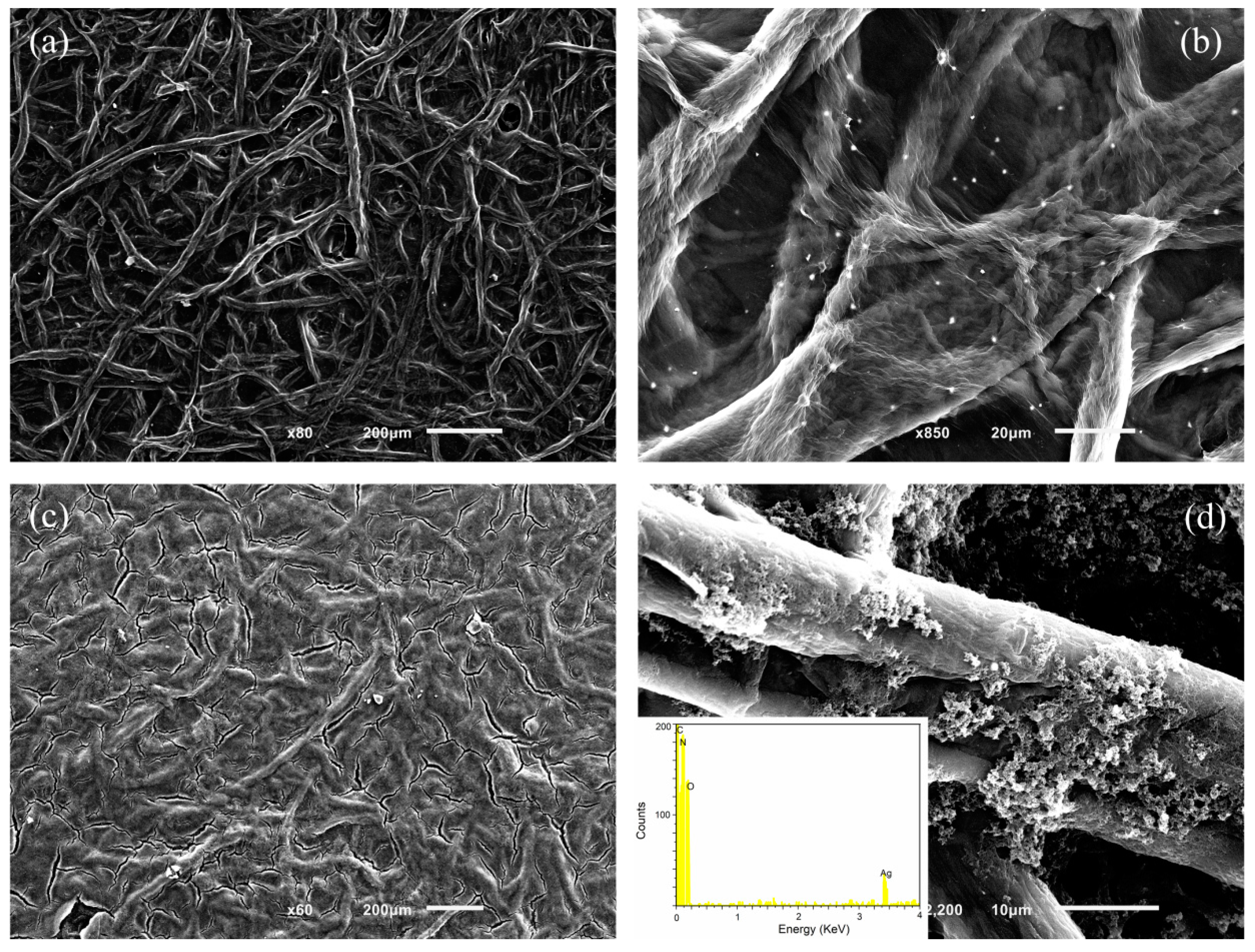 Nanomaterials 09 01434 g003