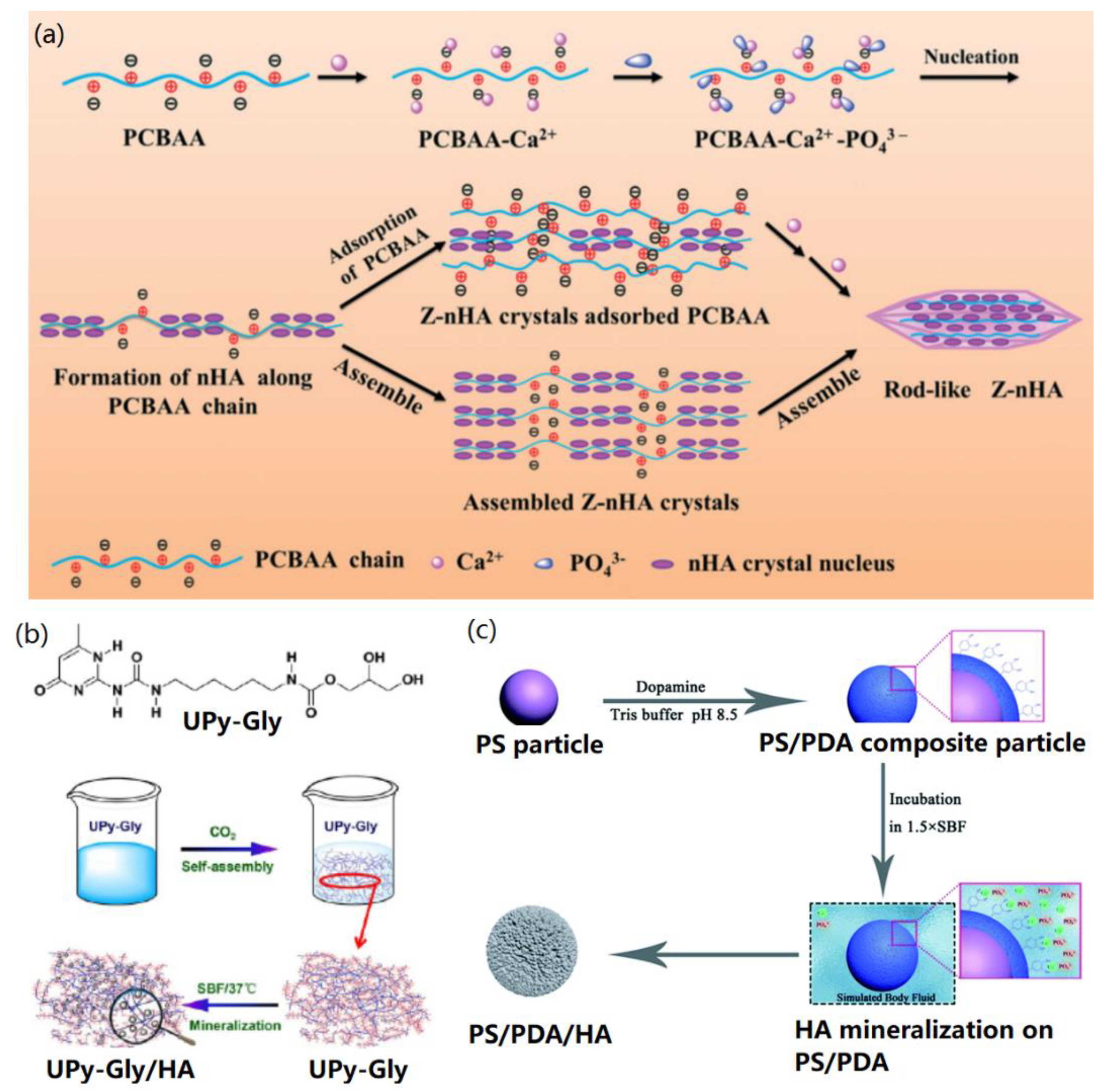 Nanomaterials 09 01435 g002