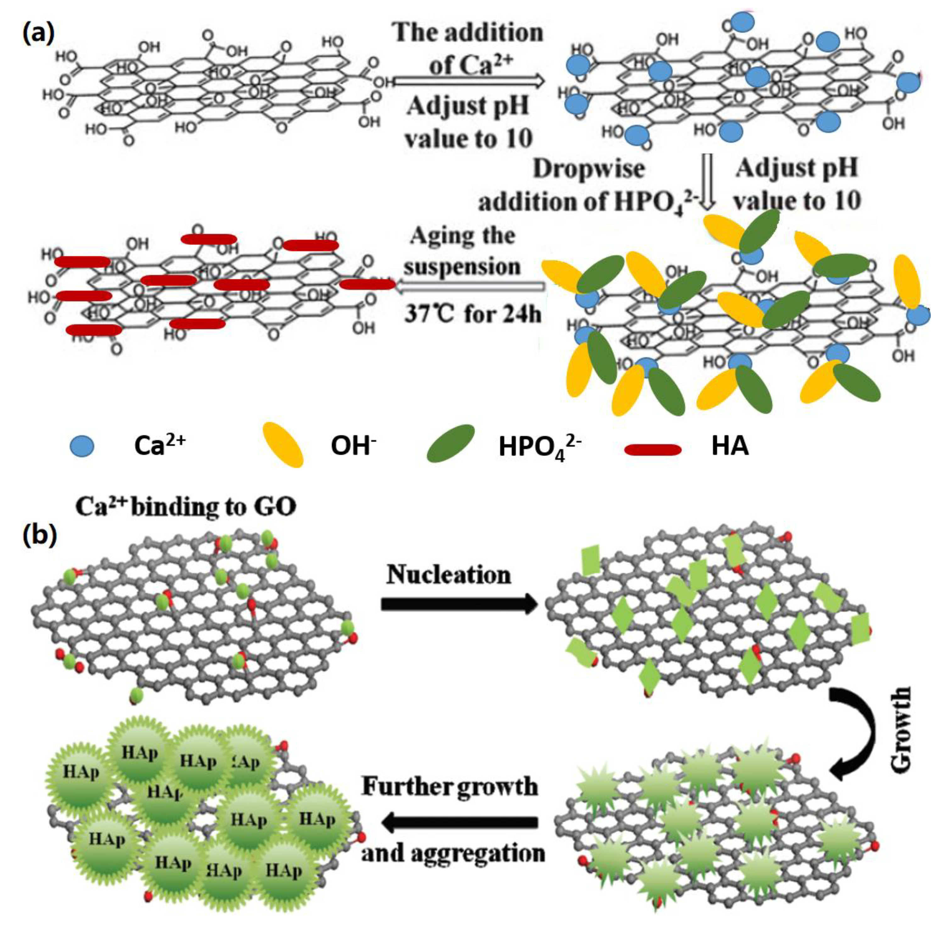 Nanomaterials 09 01435 g003