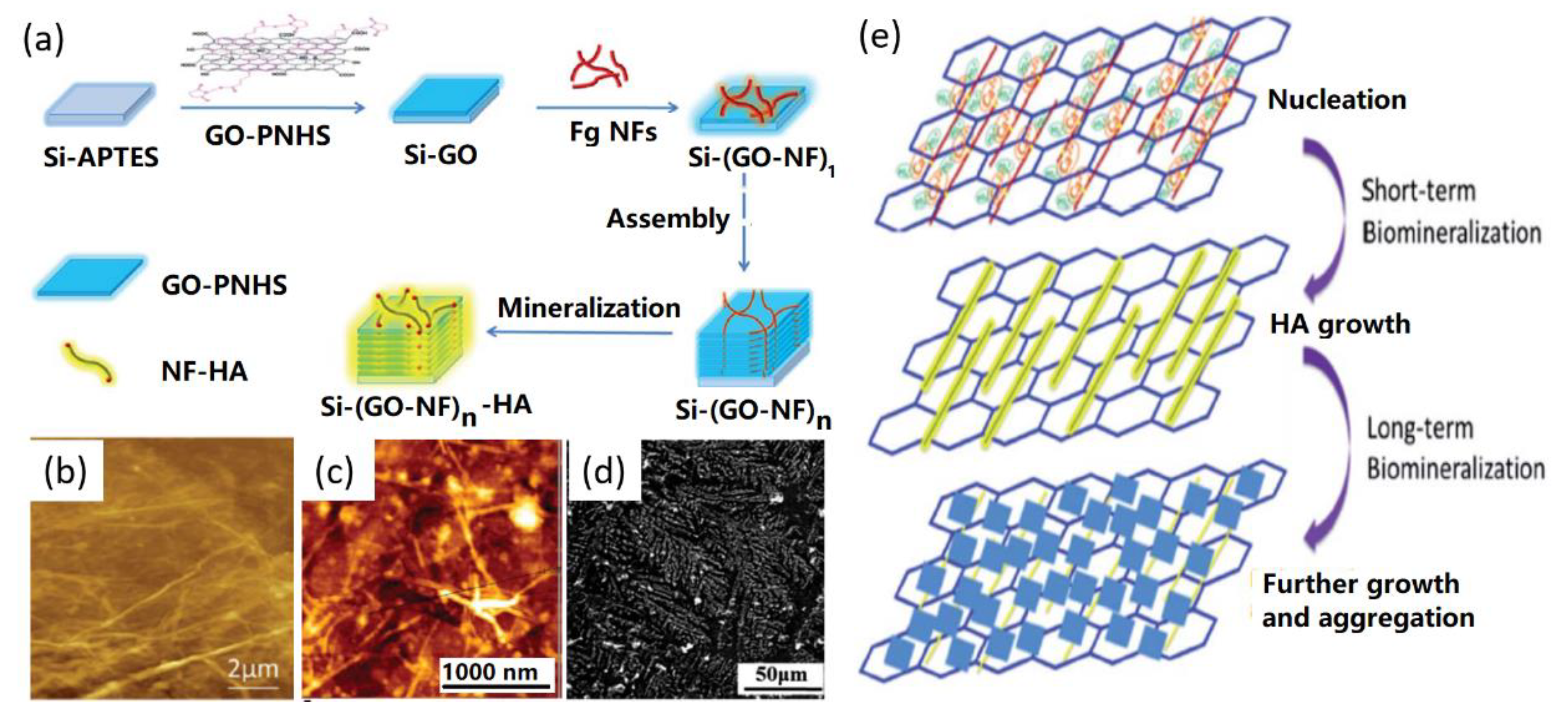 Nanomaterials 09 01435 g004