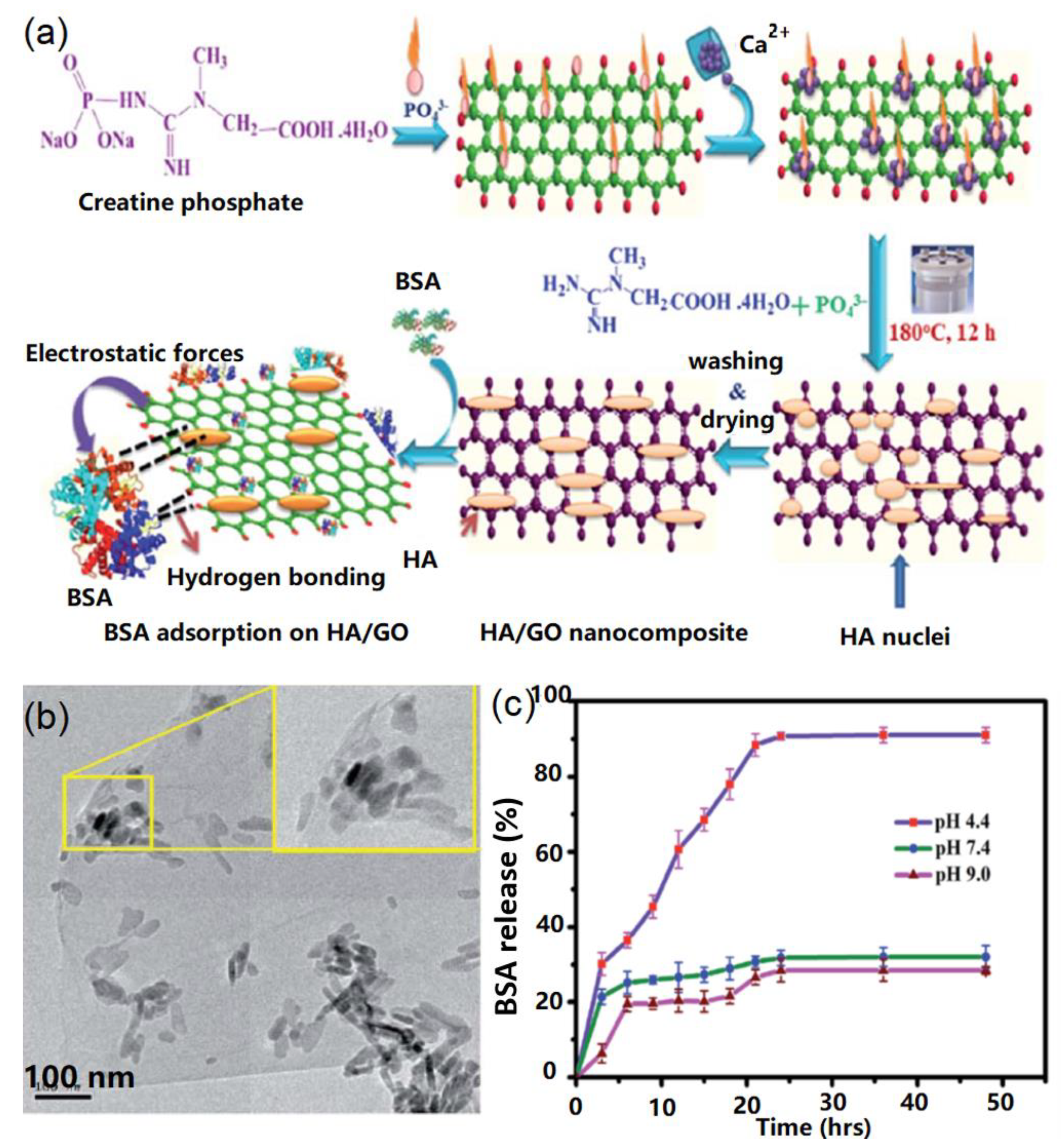 Nanomaterials 09 01435 g006