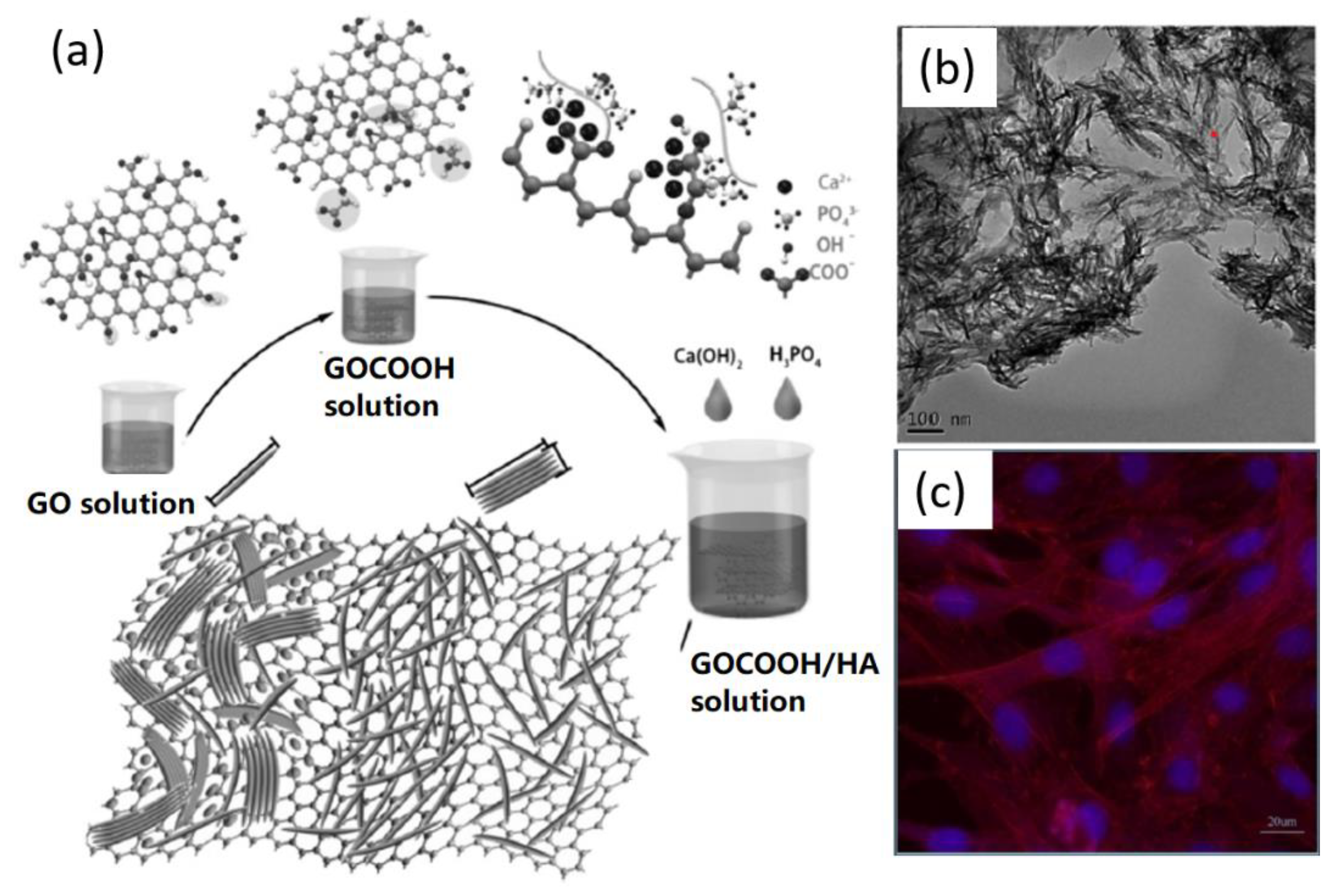 Nanomaterials 09 01435 g007