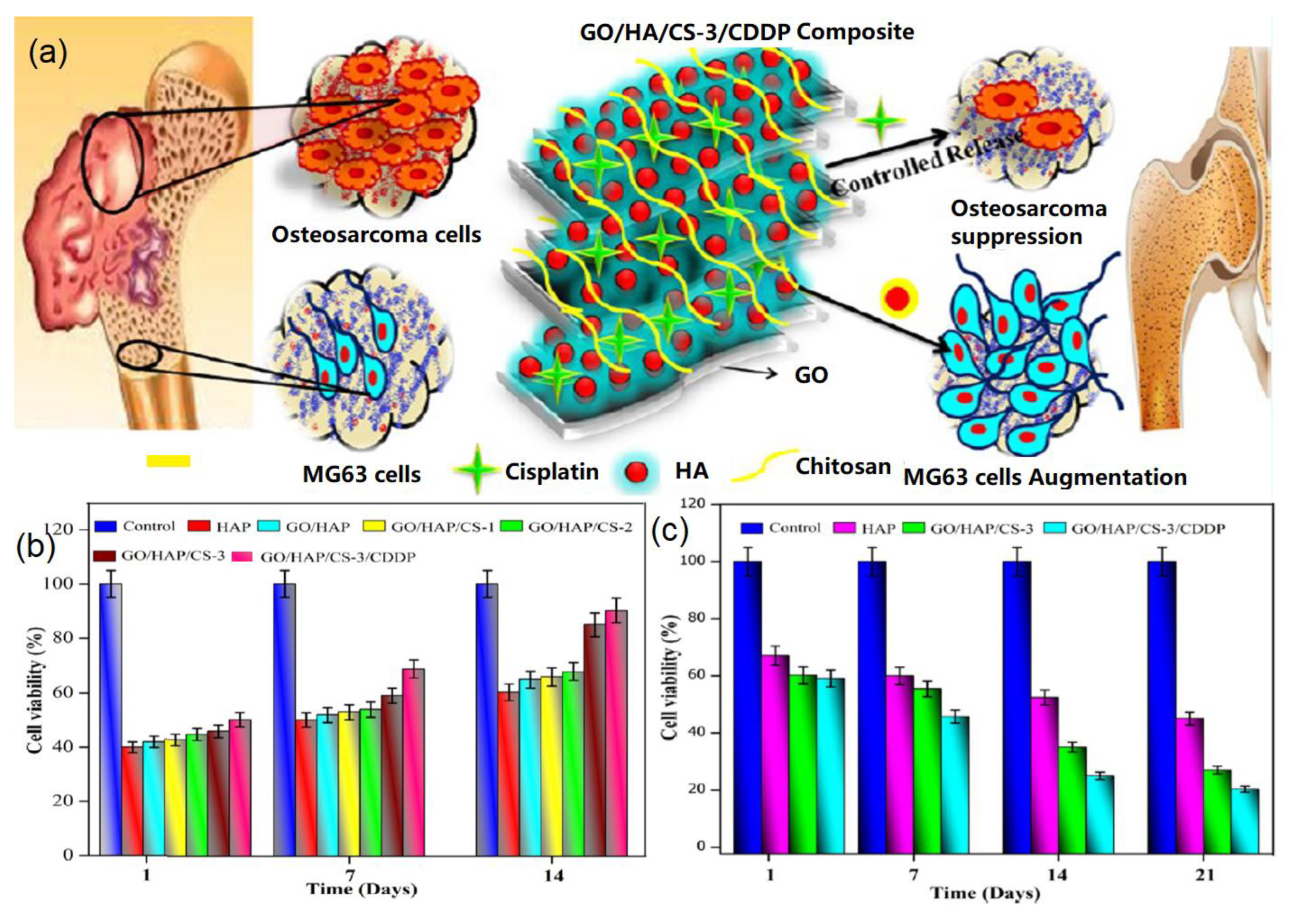 Nanomaterials 09 01435 g008