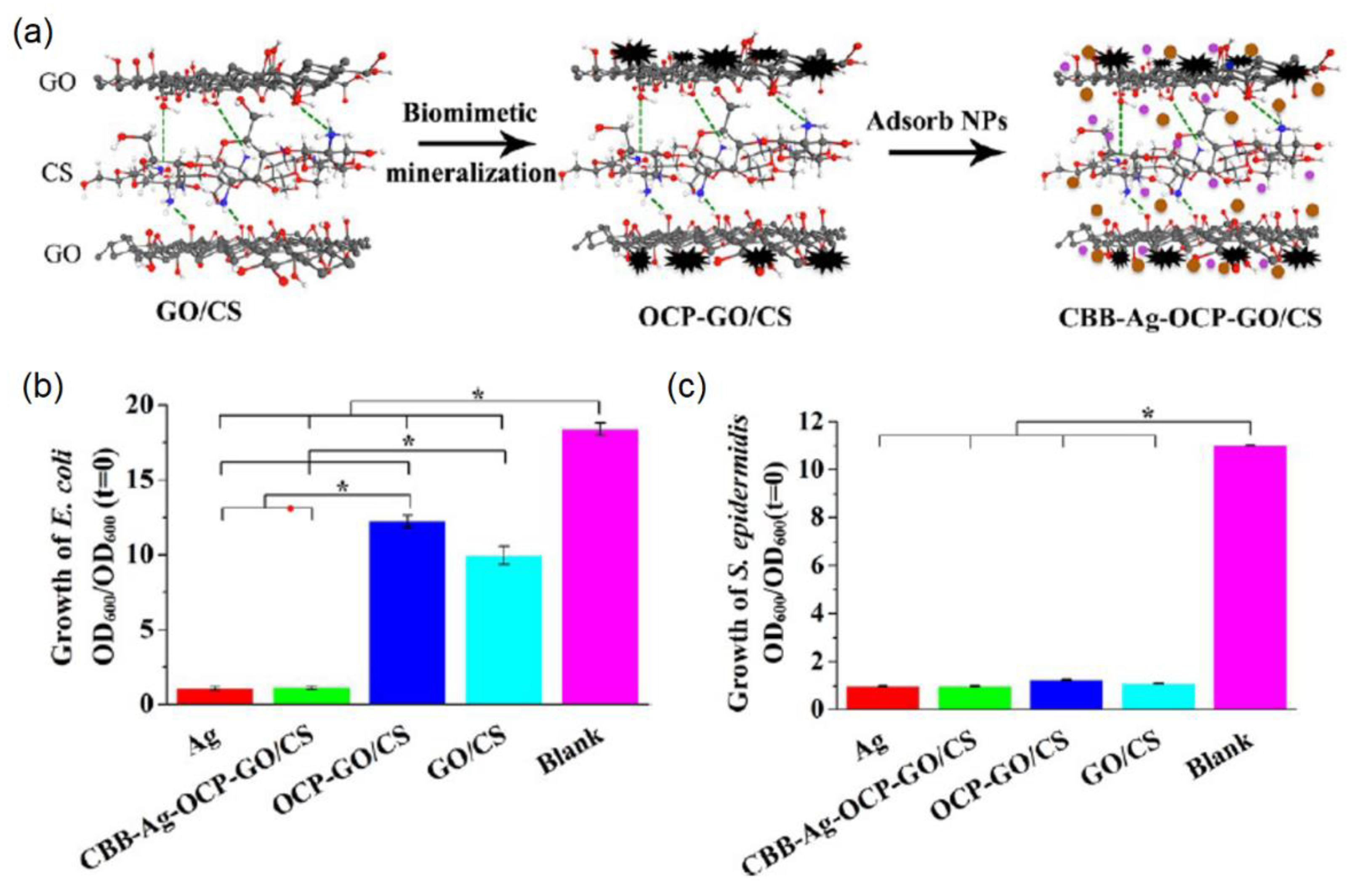 Nanomaterials 09 01435 g010