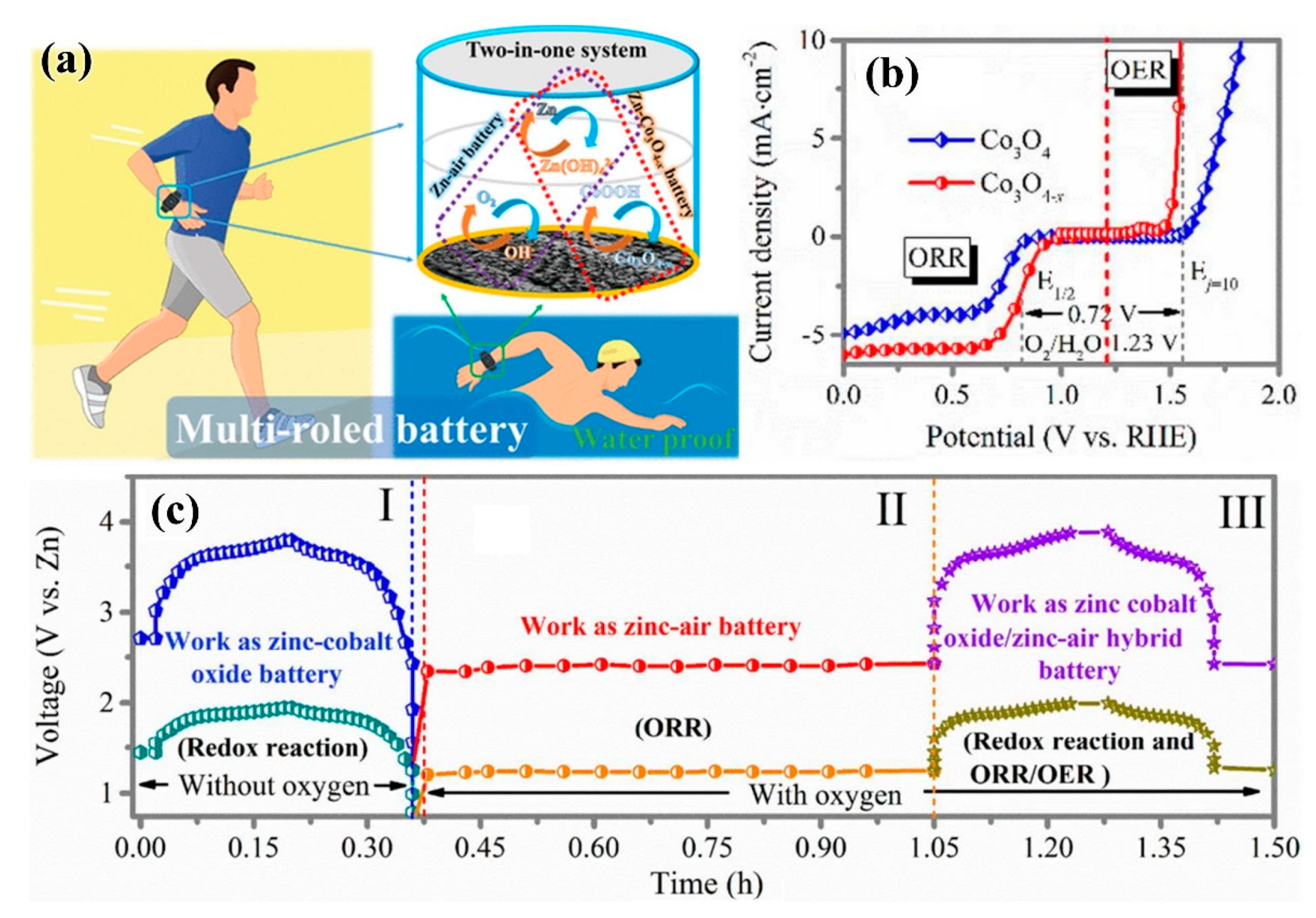 Nanomaterials 09 01436 g009