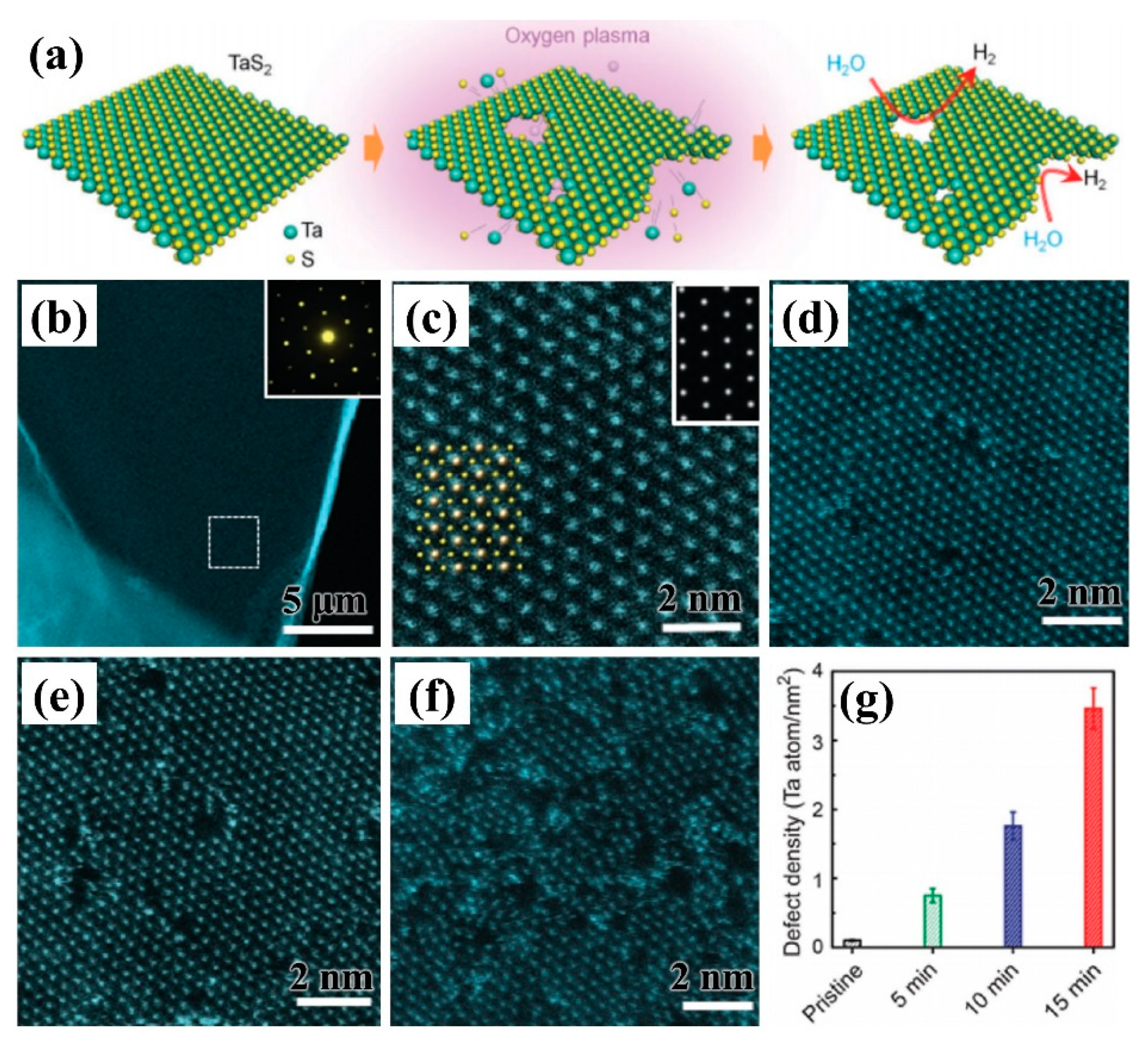 Nanomaterials 09 01436 g014