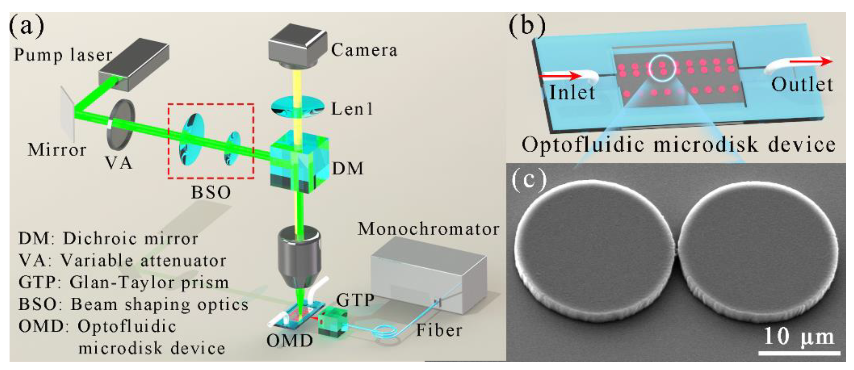 Nanomaterials 09 01439 g002