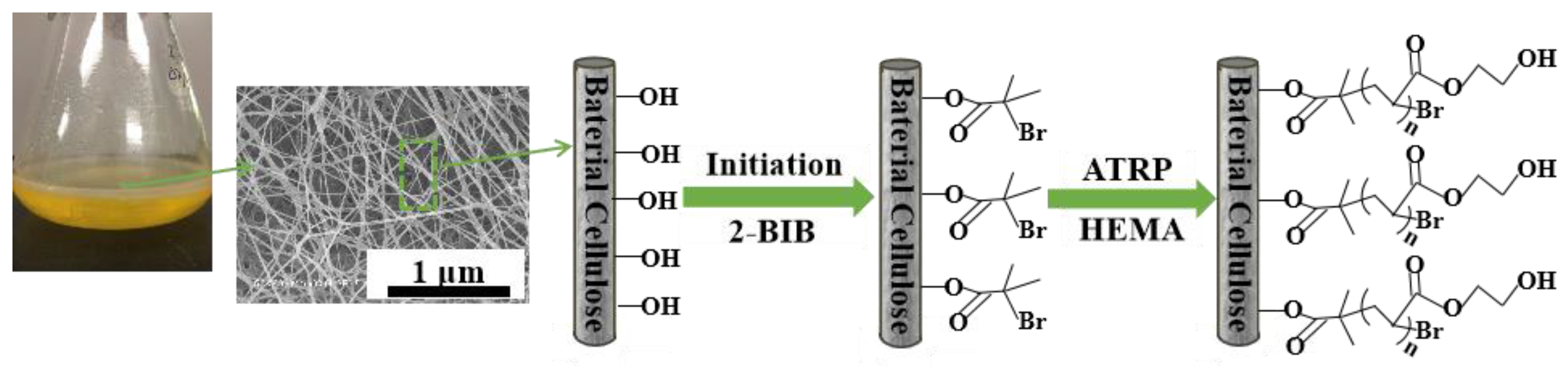Nanomaterials 09 01443 g001