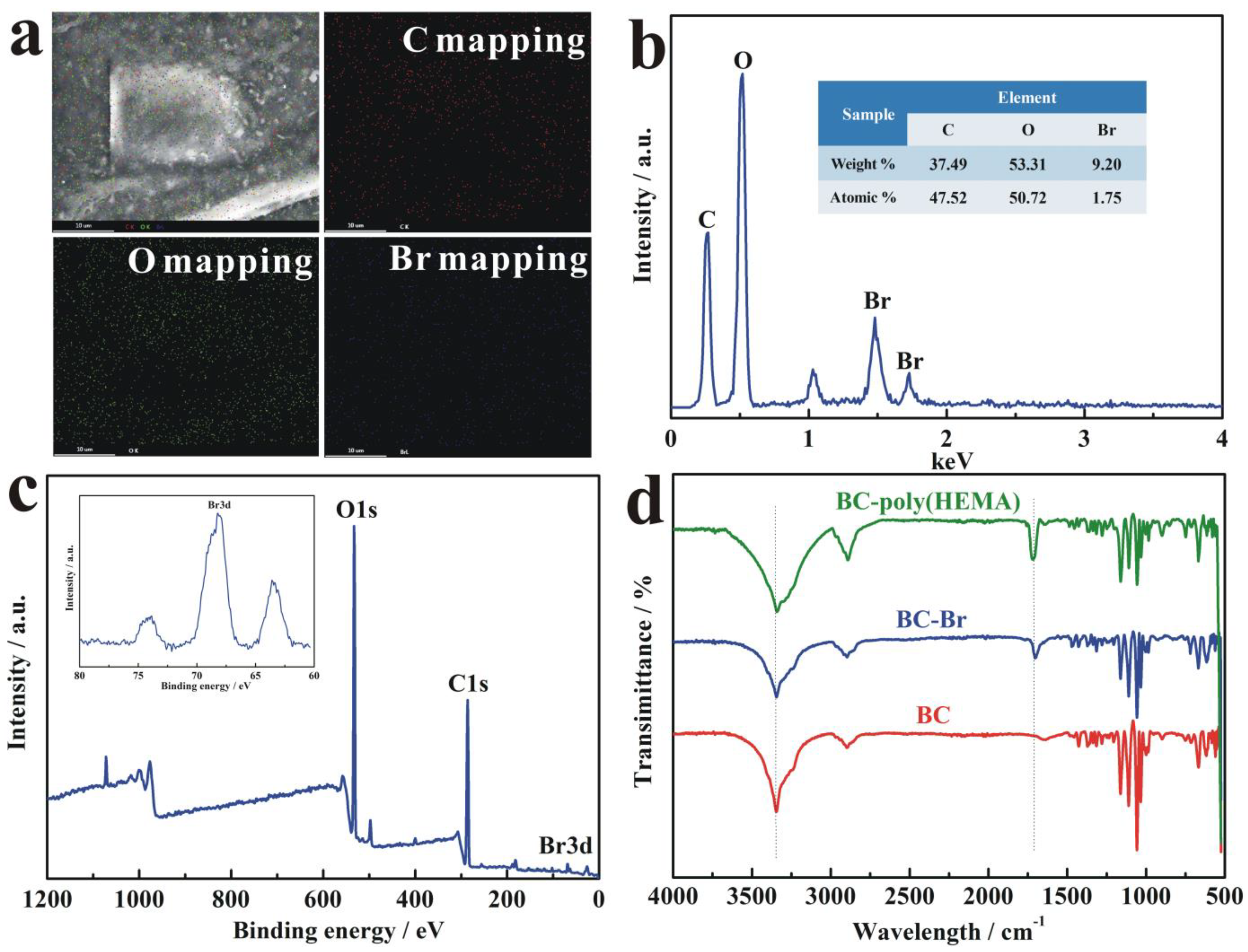 Nanomaterials 09 01443 g004