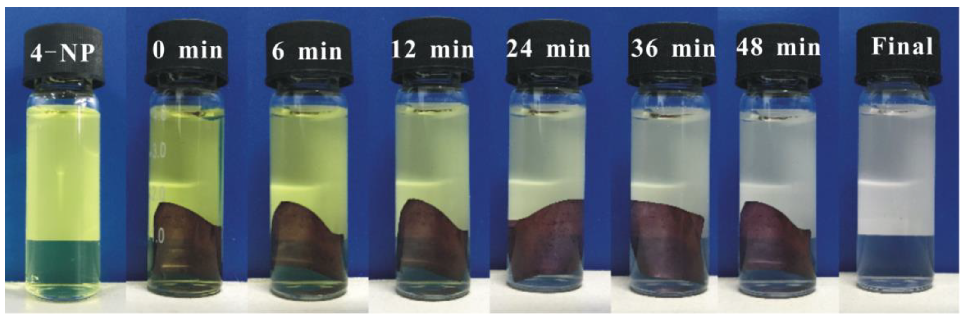 Nanomaterials 09 01443 g006