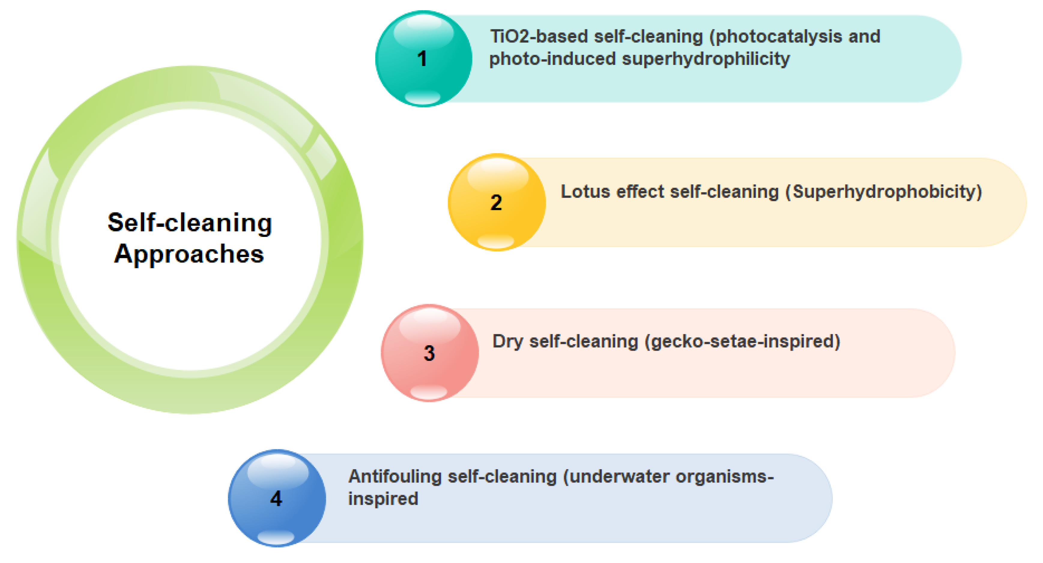 Nanomaterials 09 01444 g007
