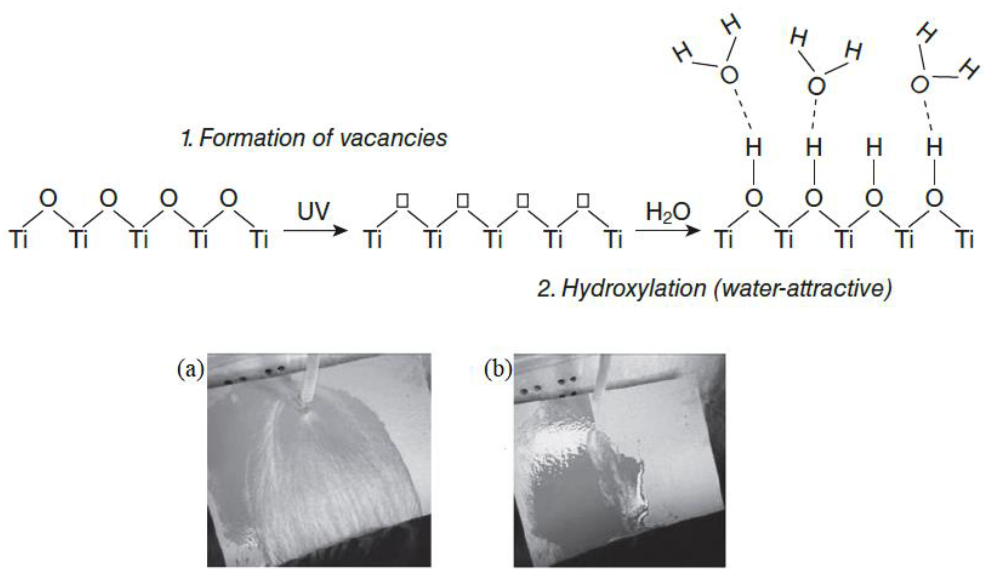 Nanomaterials 09 01444 g008