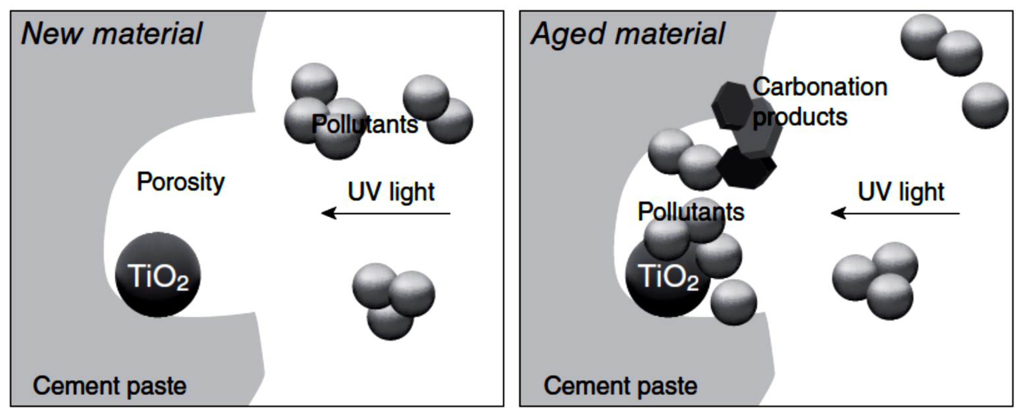Nanomaterials 09 01444 g013