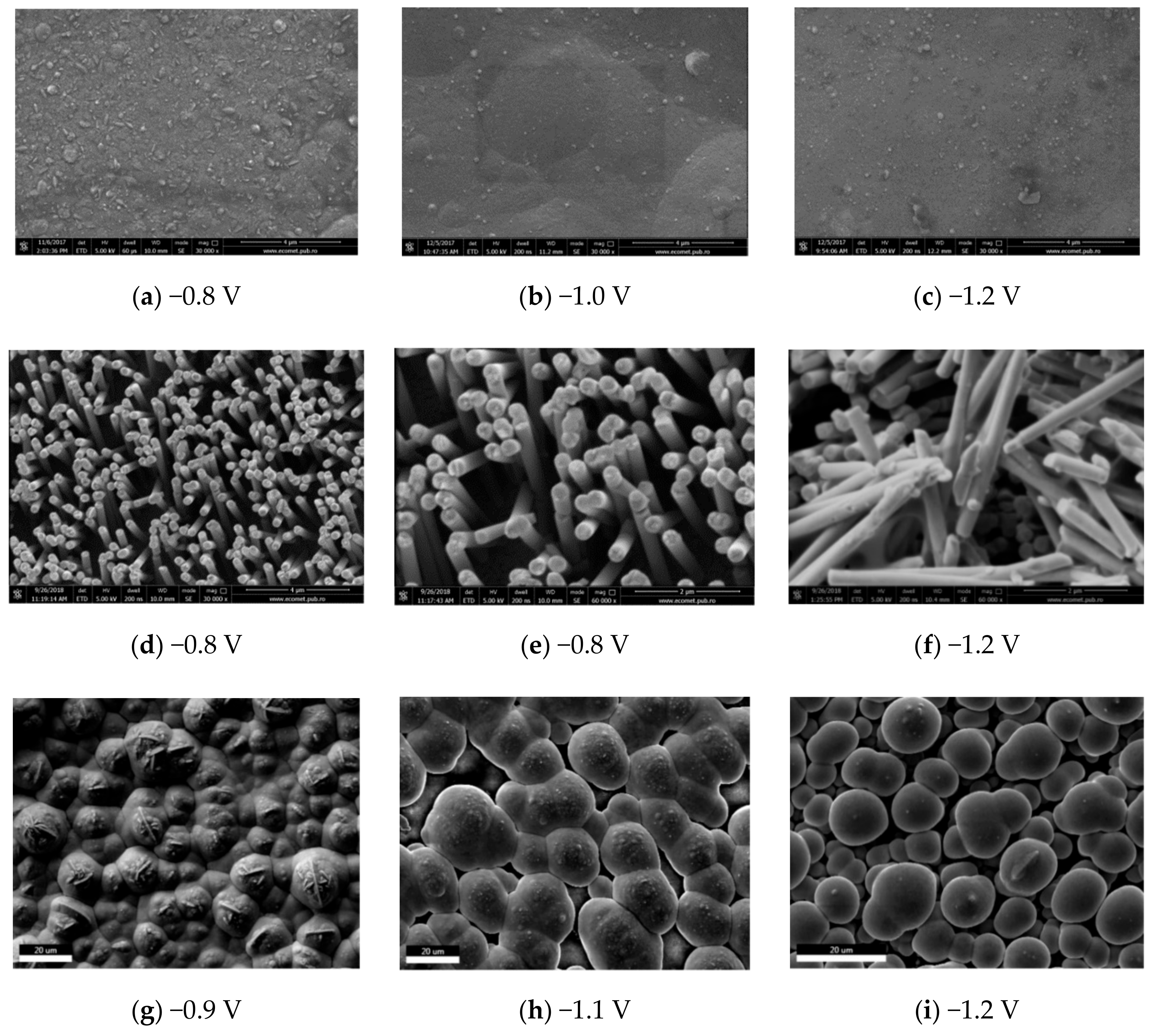 Nanomaterials 09 01446 g004