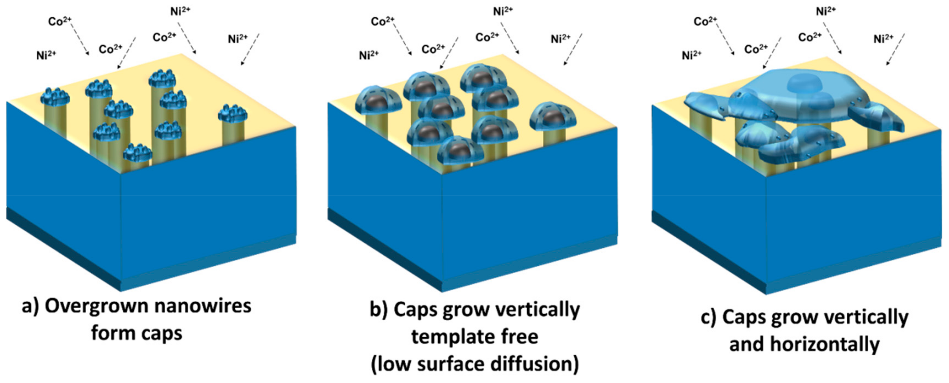 Nanomaterials 09 01446 g006