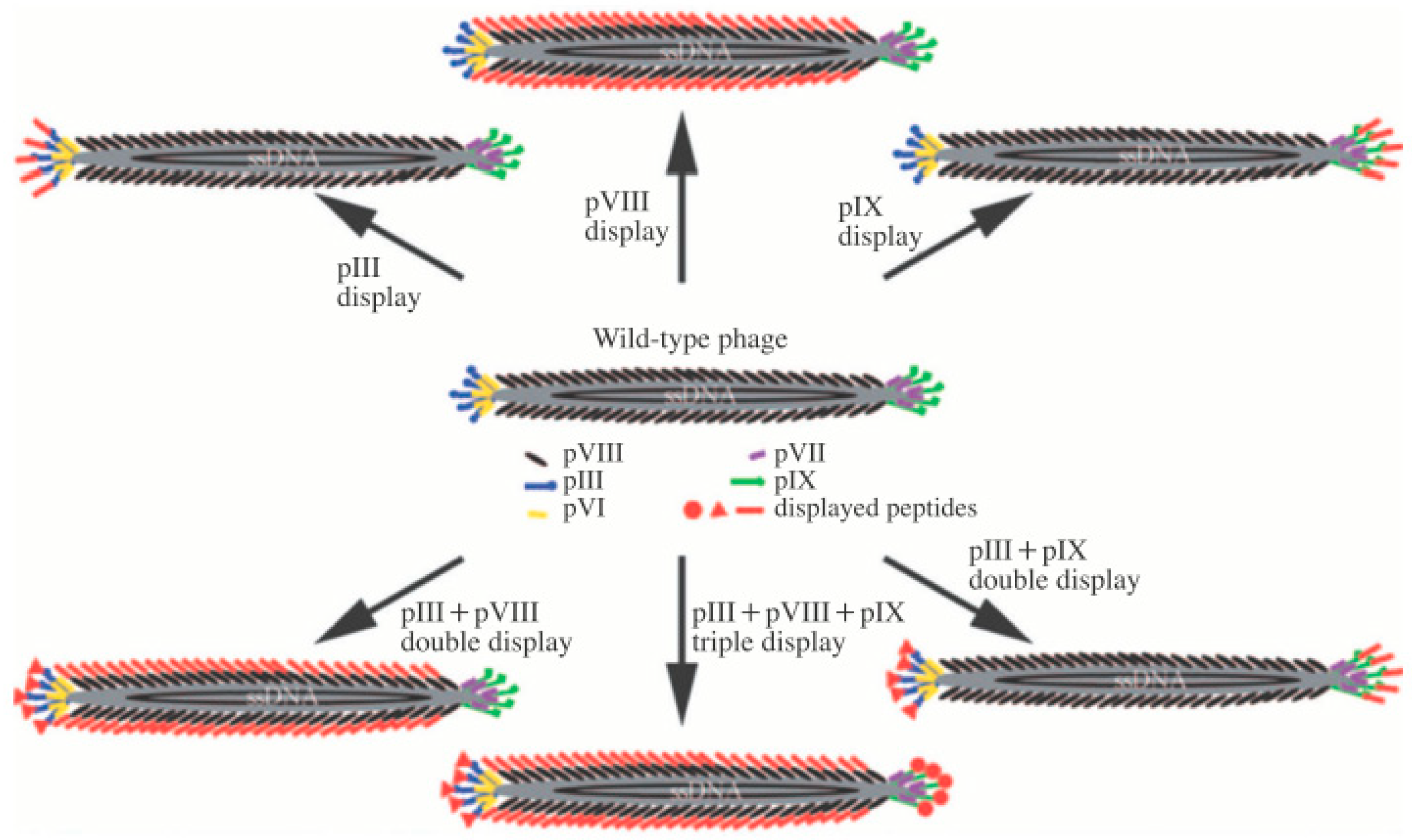 Nanomaterials 09 01448 g001 Nanomaterials 09 01448 g001