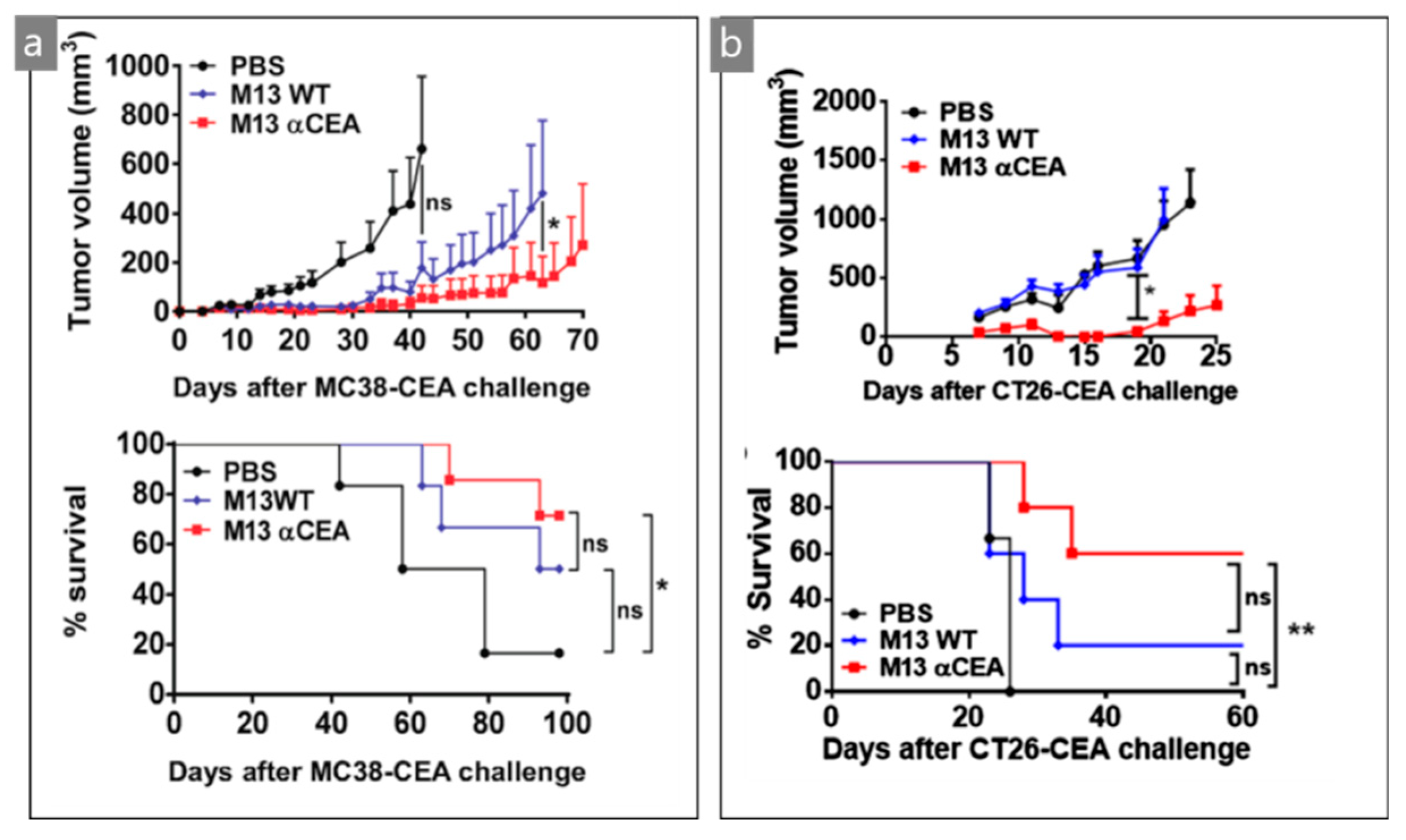 Nanomaterials 09 01448 g005 Nanomaterials 09 01448 g005