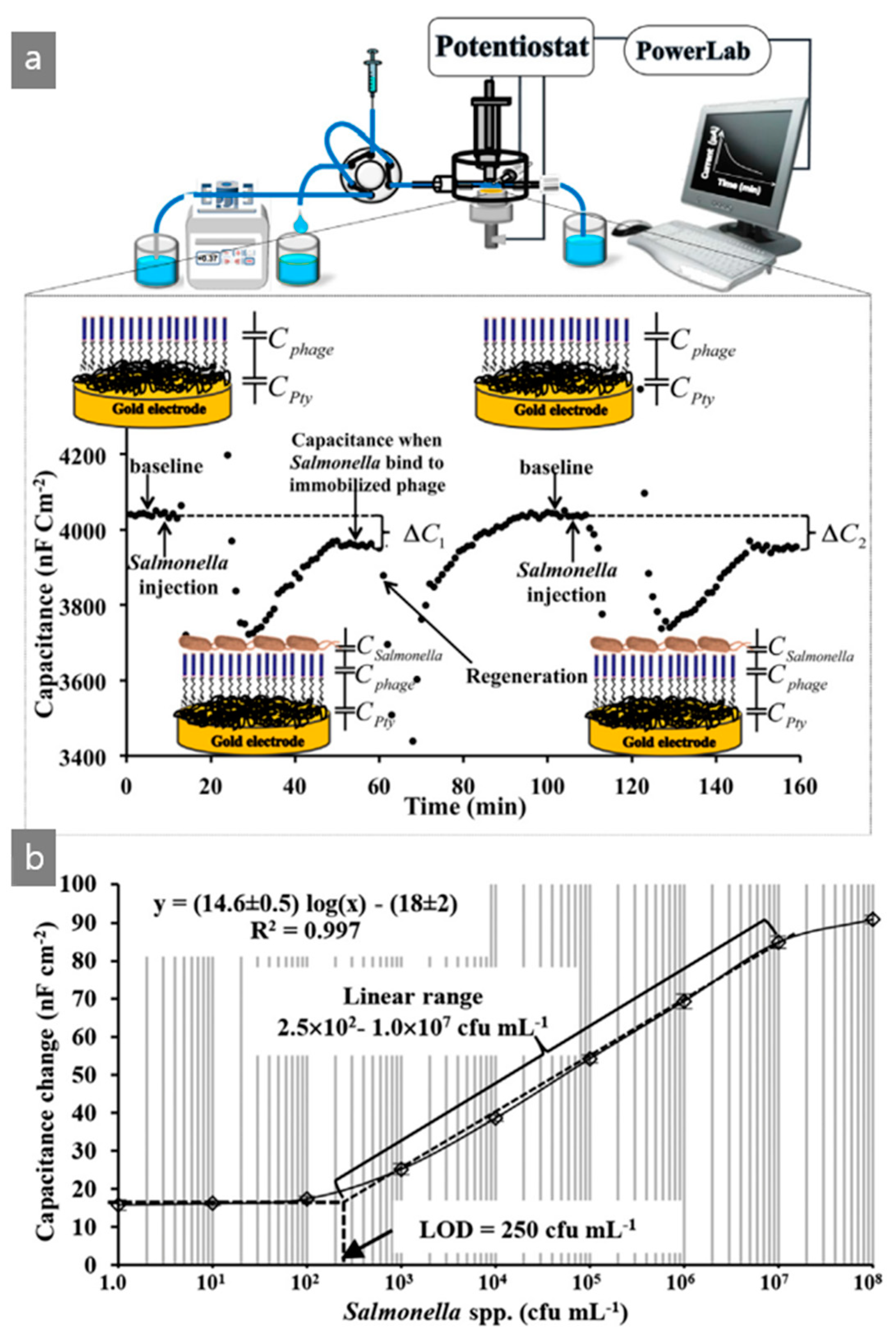 Nanomaterials 09 01448 g006 Nanomaterials 09 01448 g006