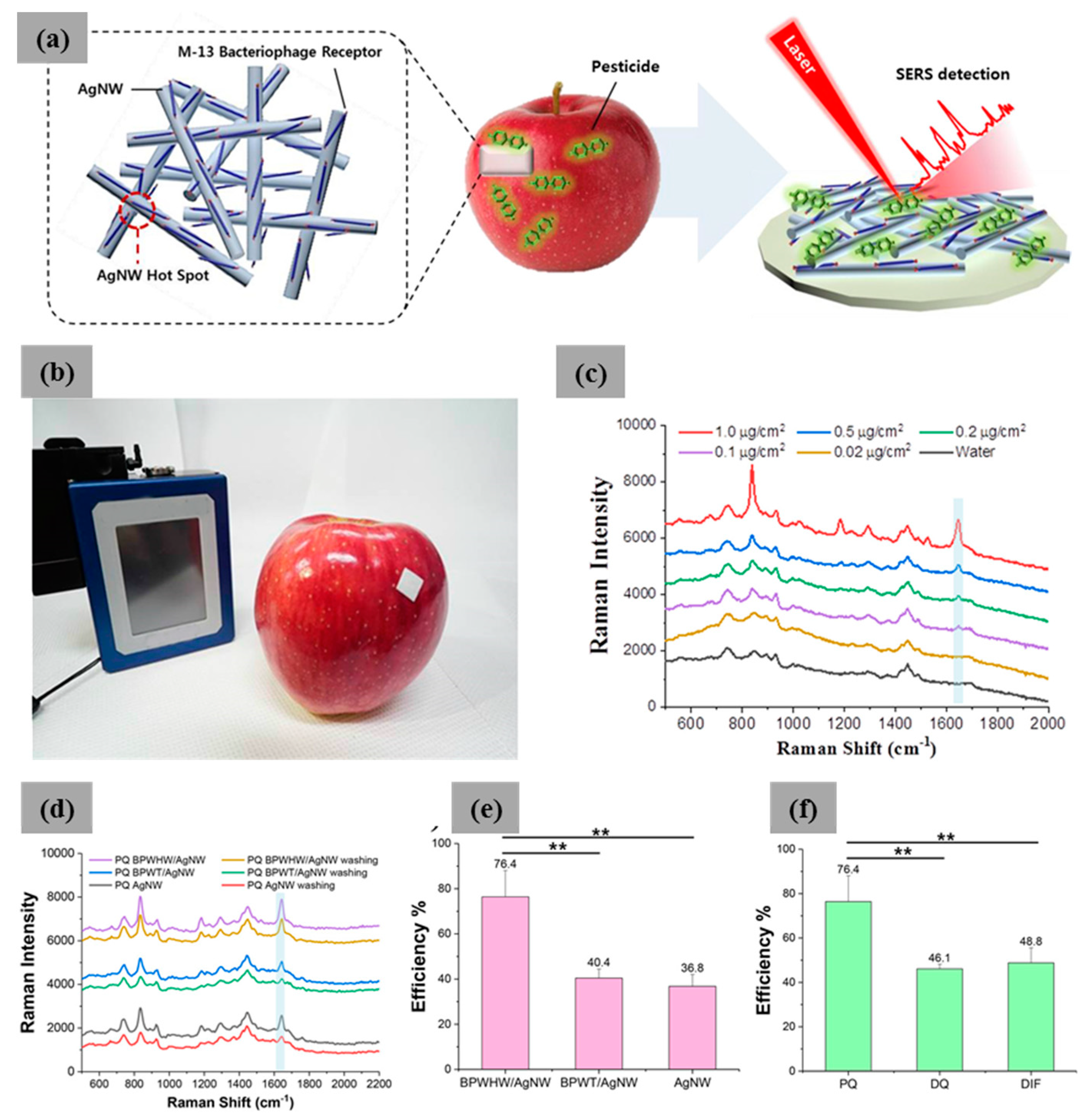Nanomaterials 09 01448 g009 Nanomaterials 09 01448 g009