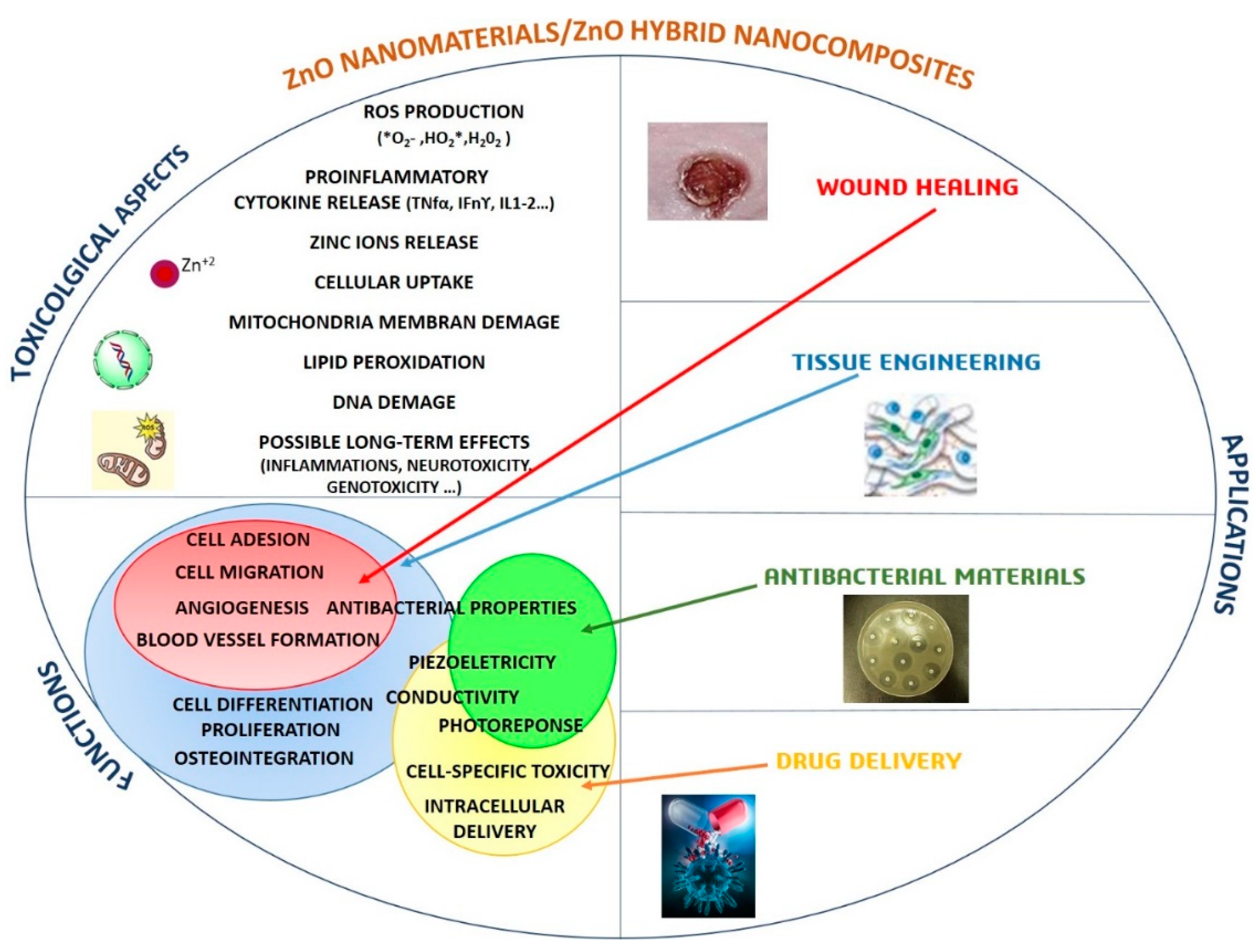 Nanomaterials 09 01449 g002