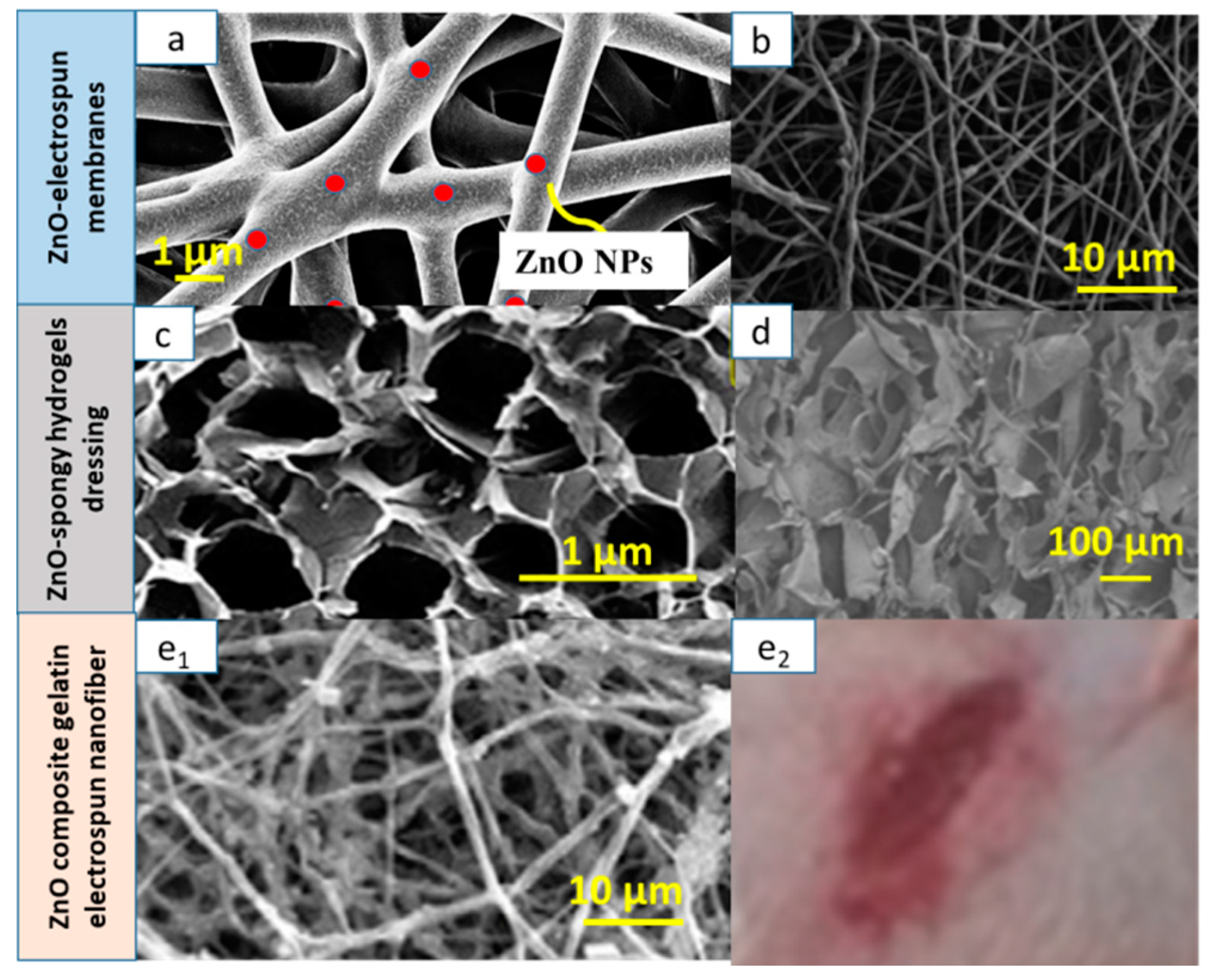 Nanomaterials 09 01449 g006