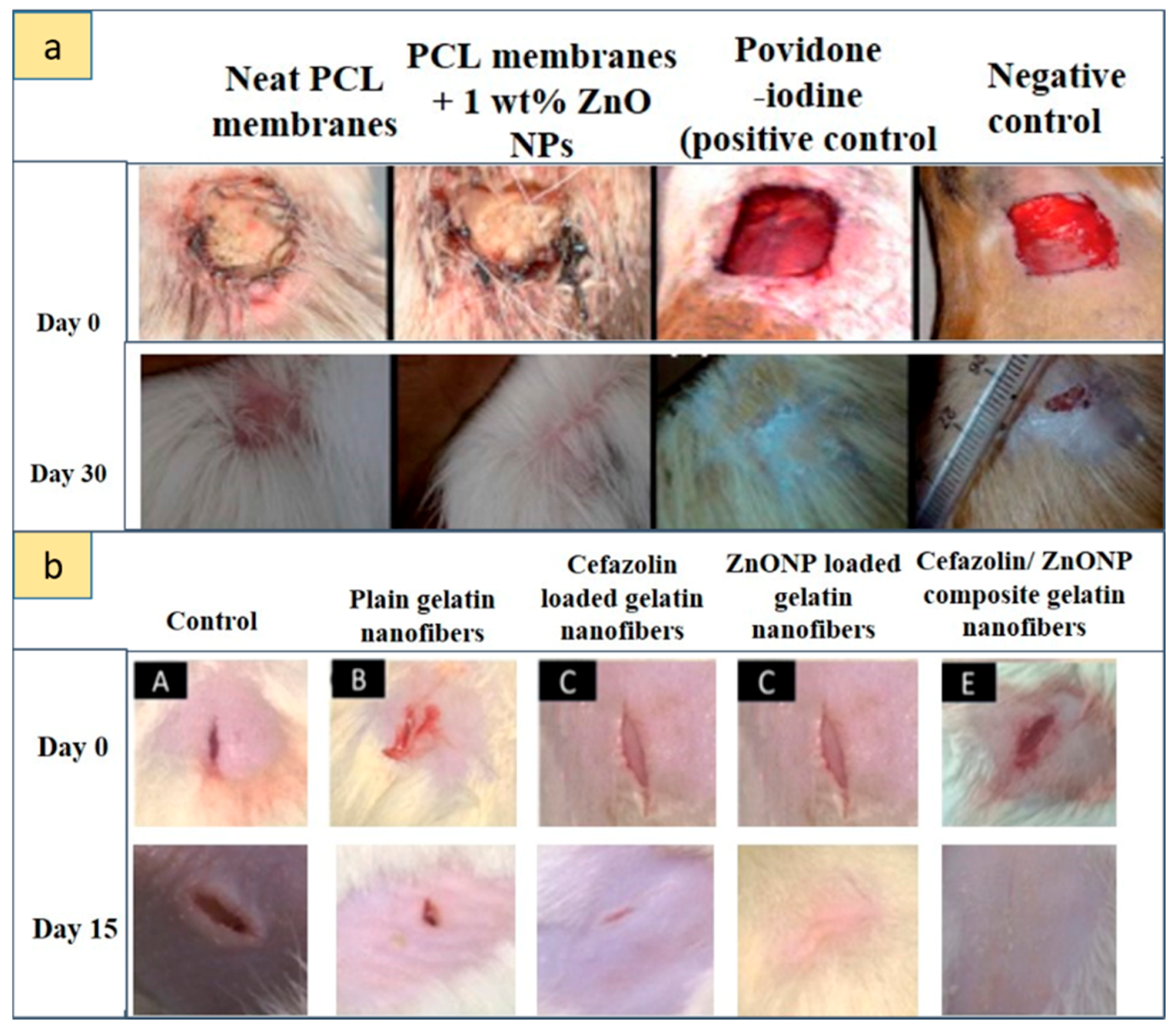 Nanomaterials 09 01449 g007