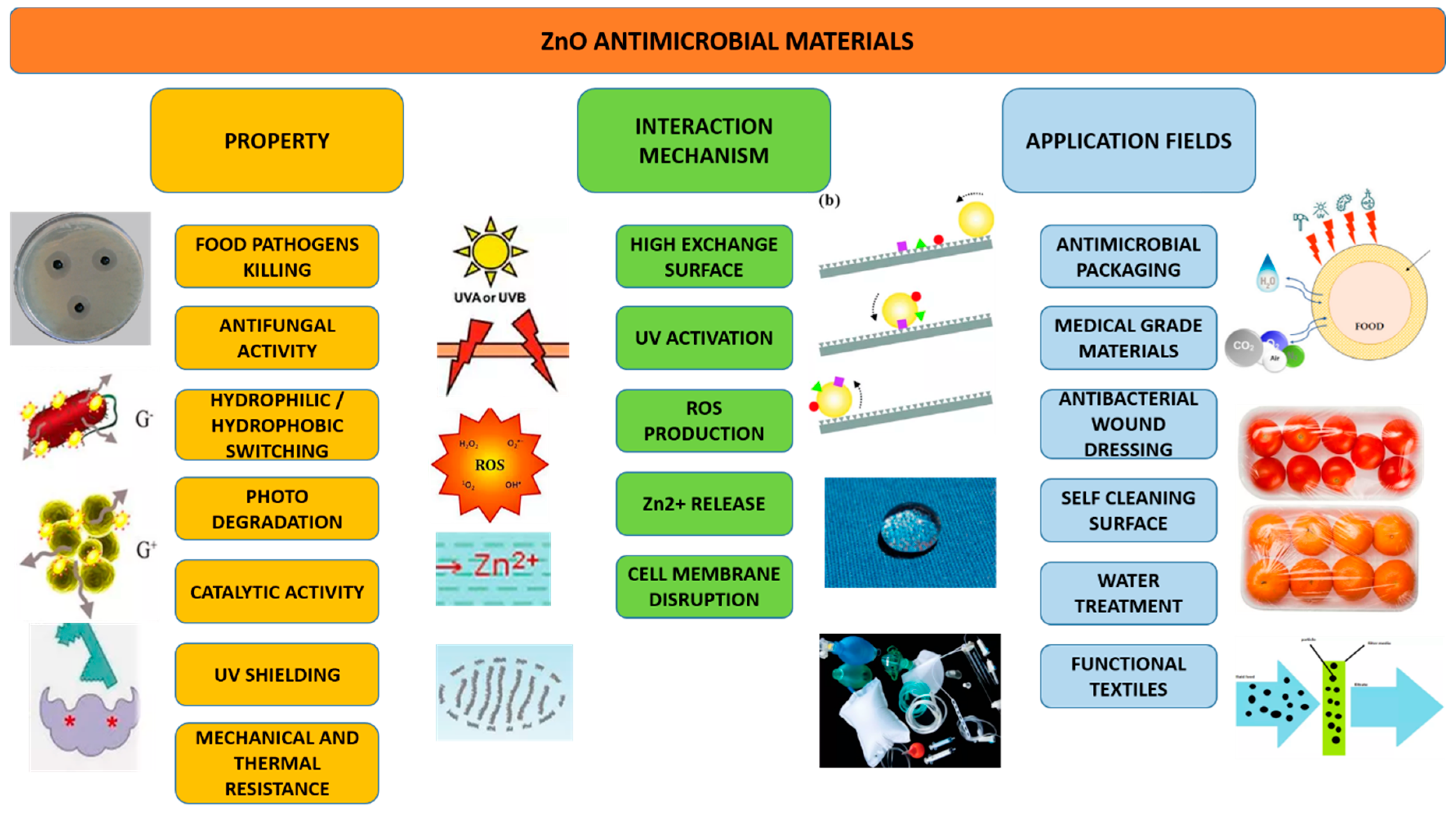 Nanomaterials 09 01449 g008