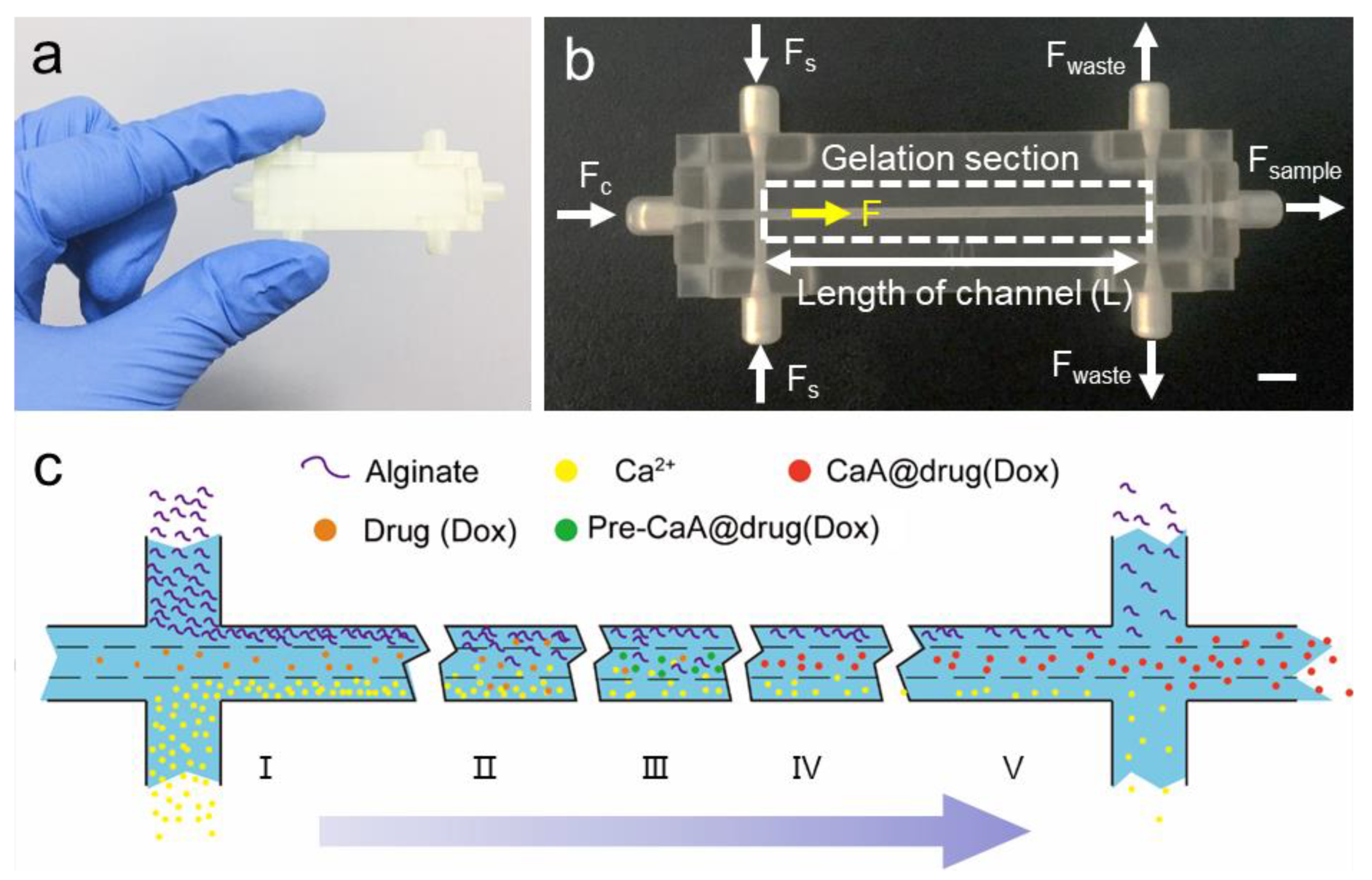 Nanomaterials 09 01451 g001