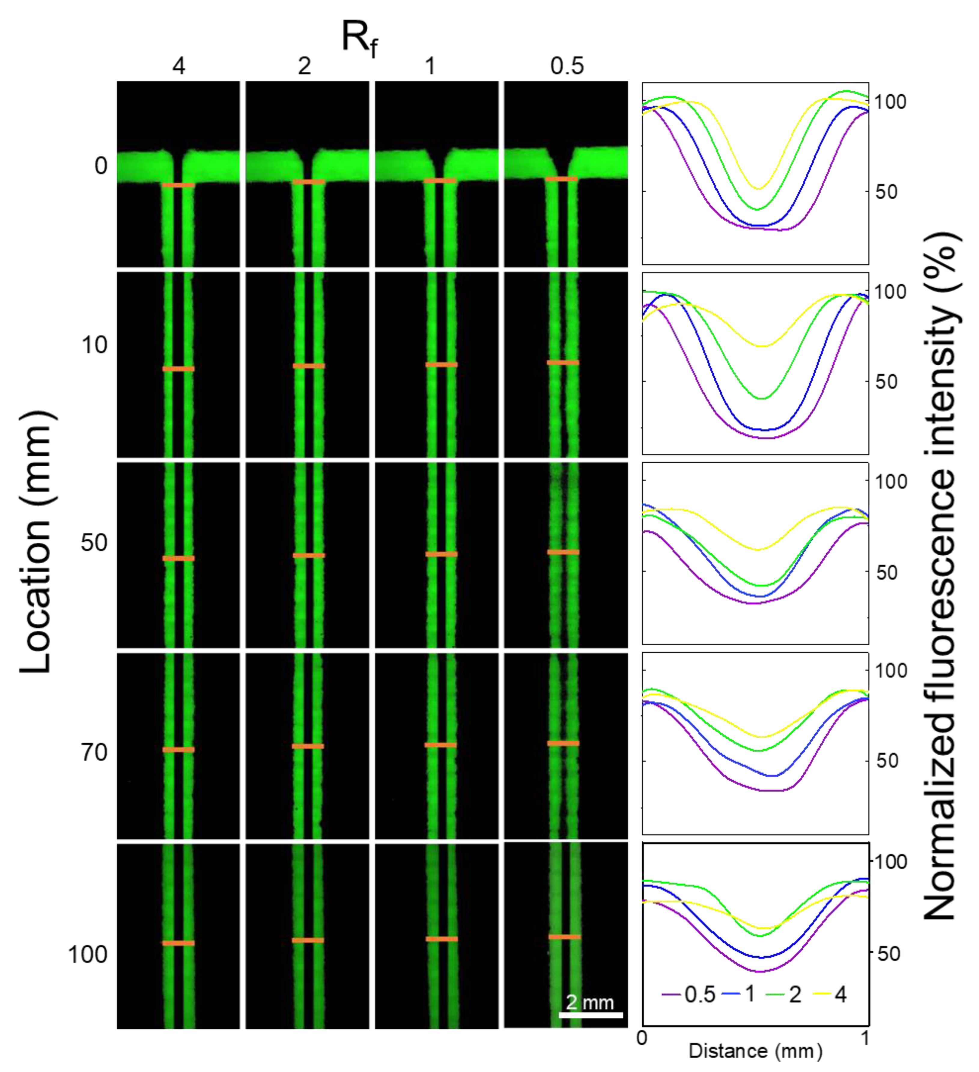 Nanomaterials 09 01451 g003
