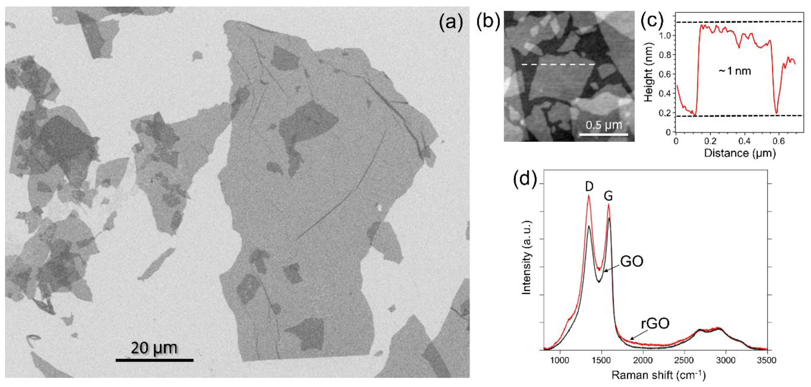 Nanomaterials 09 01454 g001