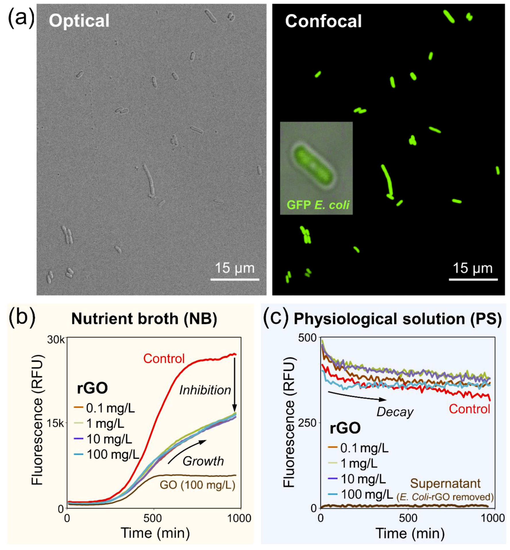 Nanomaterials 09 01454 g003