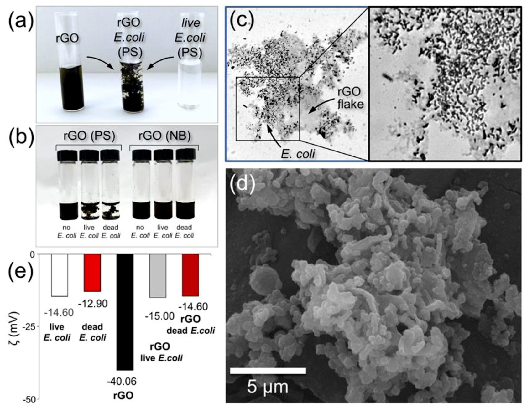 Nanomaterials 09 01454 g005