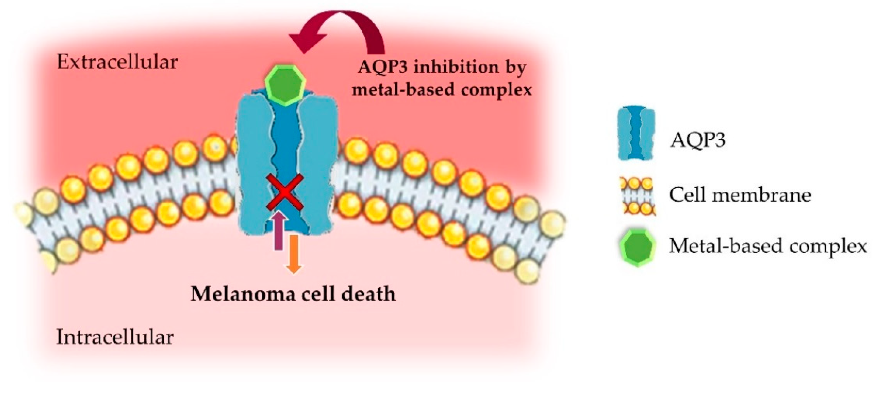 Nanomaterials 09 01455 g001 Nanomaterials 09 01455 g001