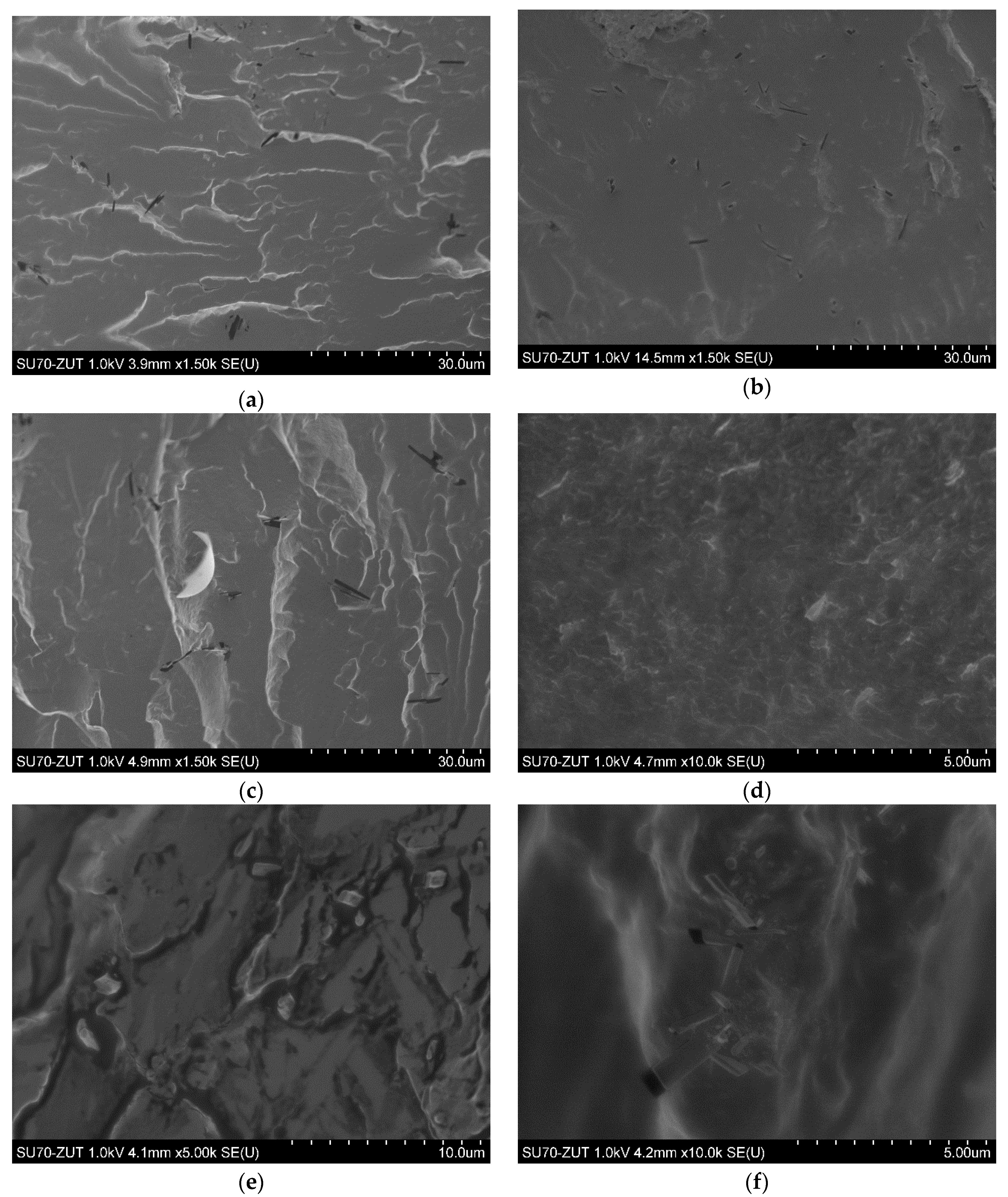 Nanomaterials 09 01459 g007