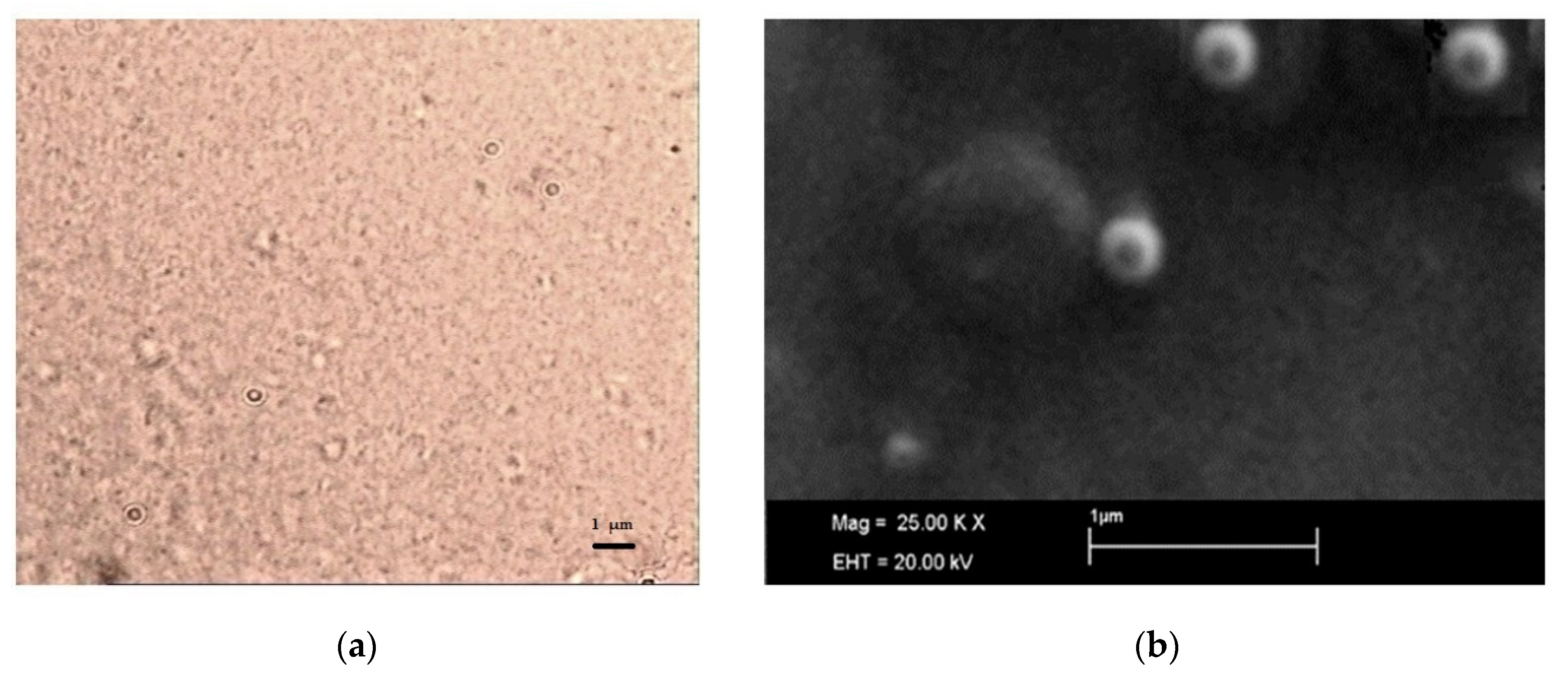 Nanomaterials 09 01461 g004 Nanomaterials 09 01461 g004