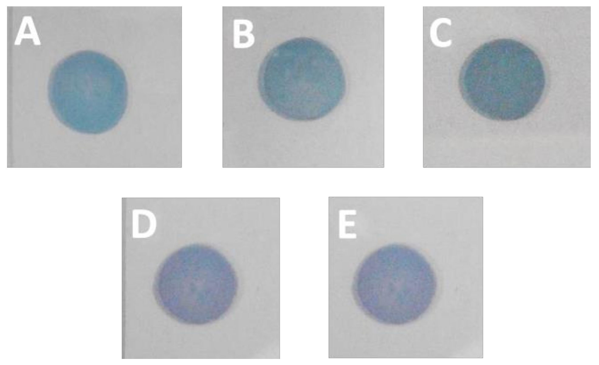 Nanomaterials 09 01468 g002 Nanomaterials 09 01468 g002