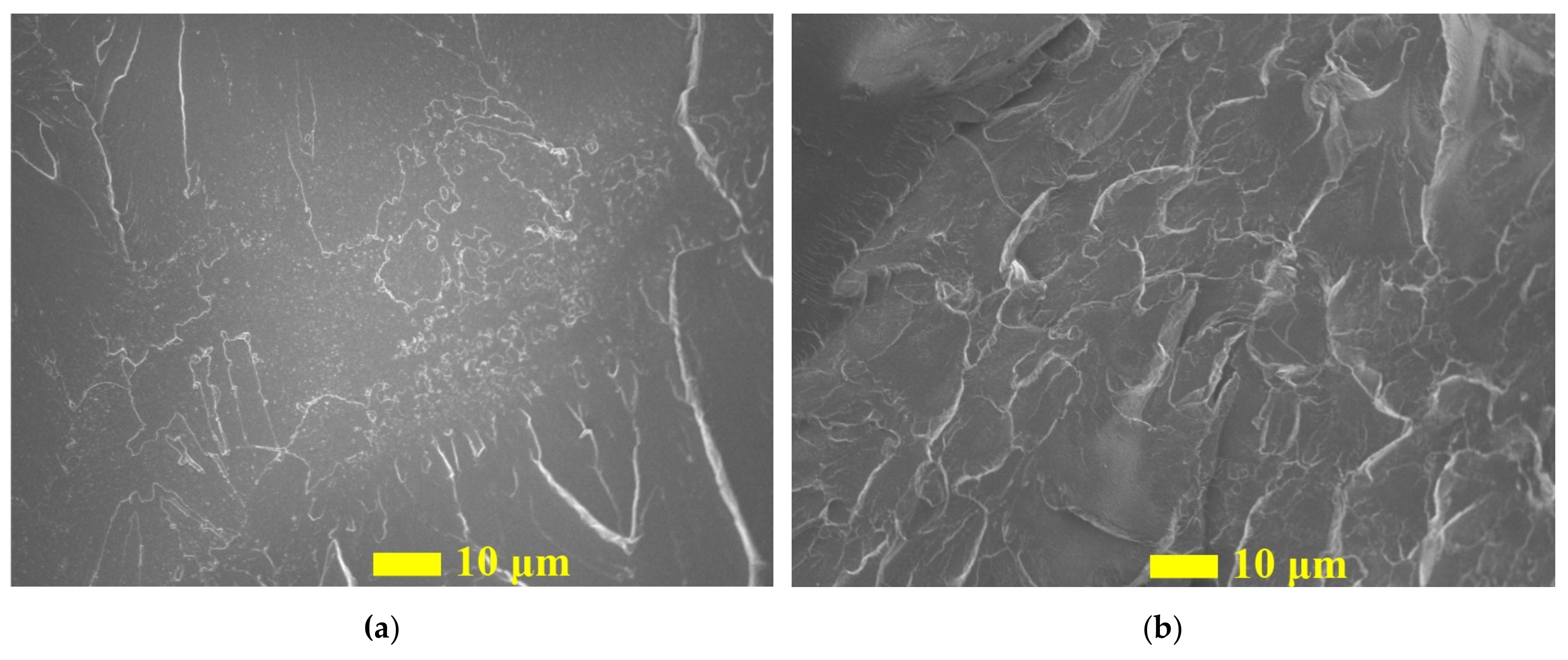 Nanomaterials 09 01476 g011 Nanomaterials 09 01476 g011