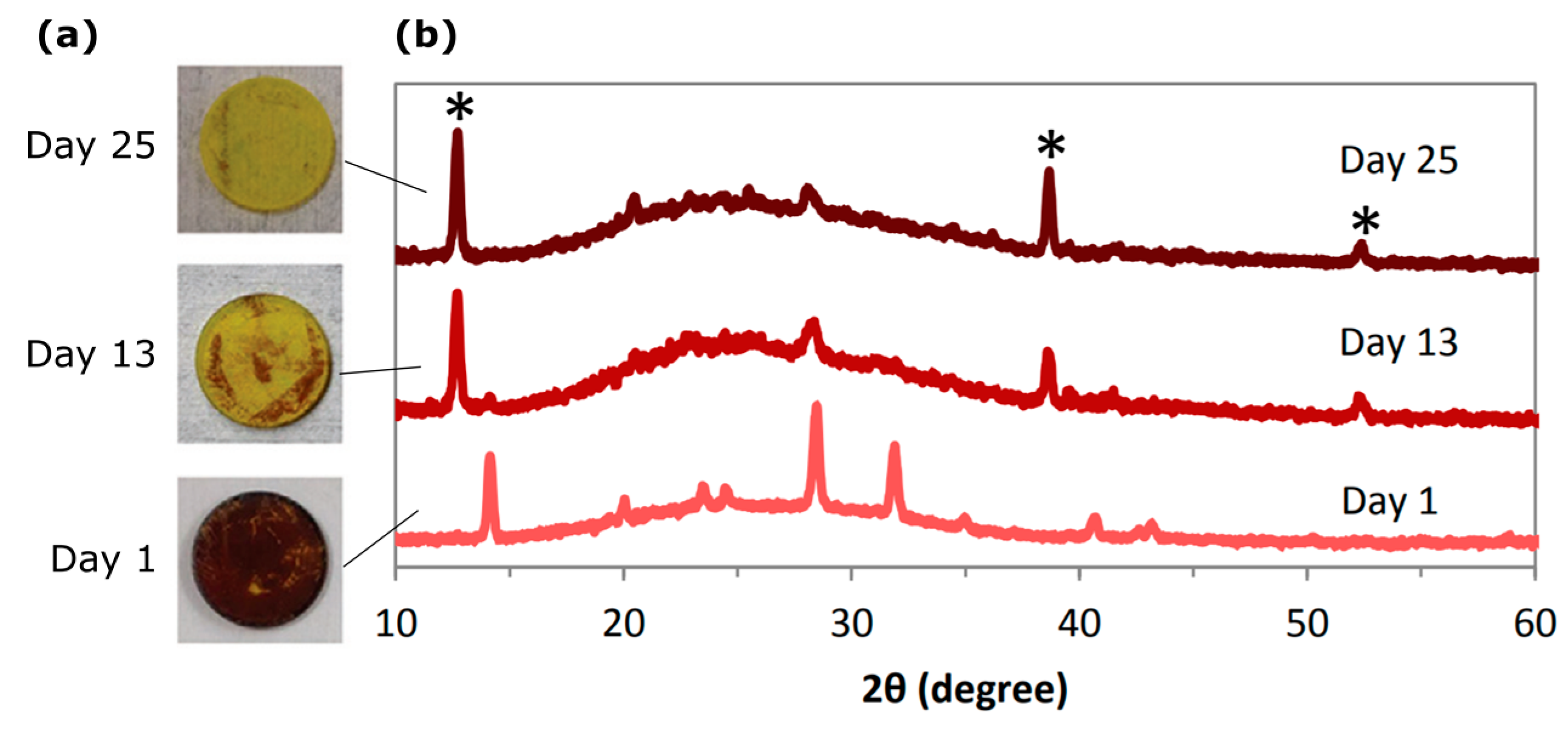 Nanomaterials 09 01481 g003