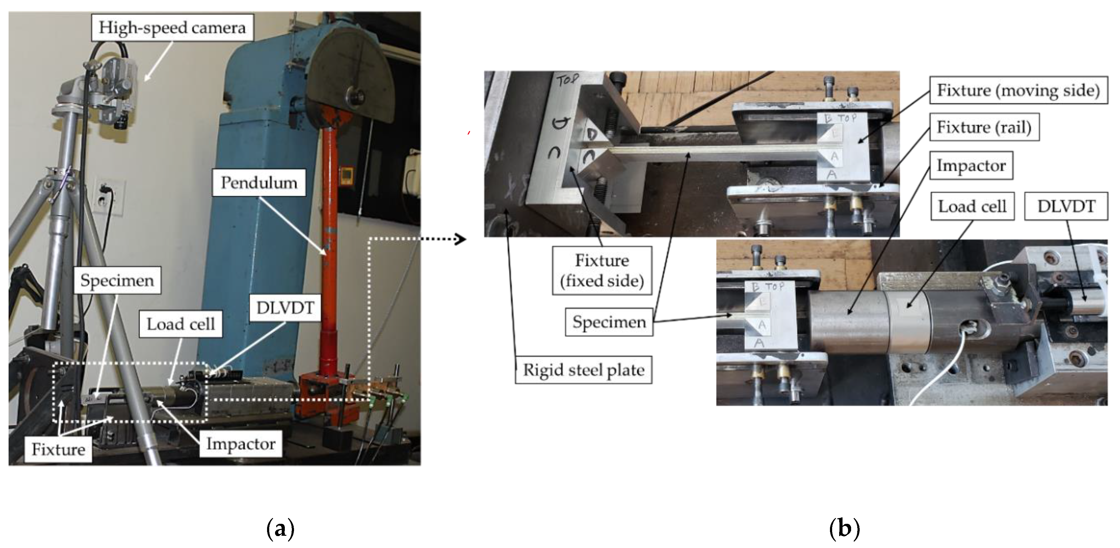 Nanomaterials 09 01482 g004